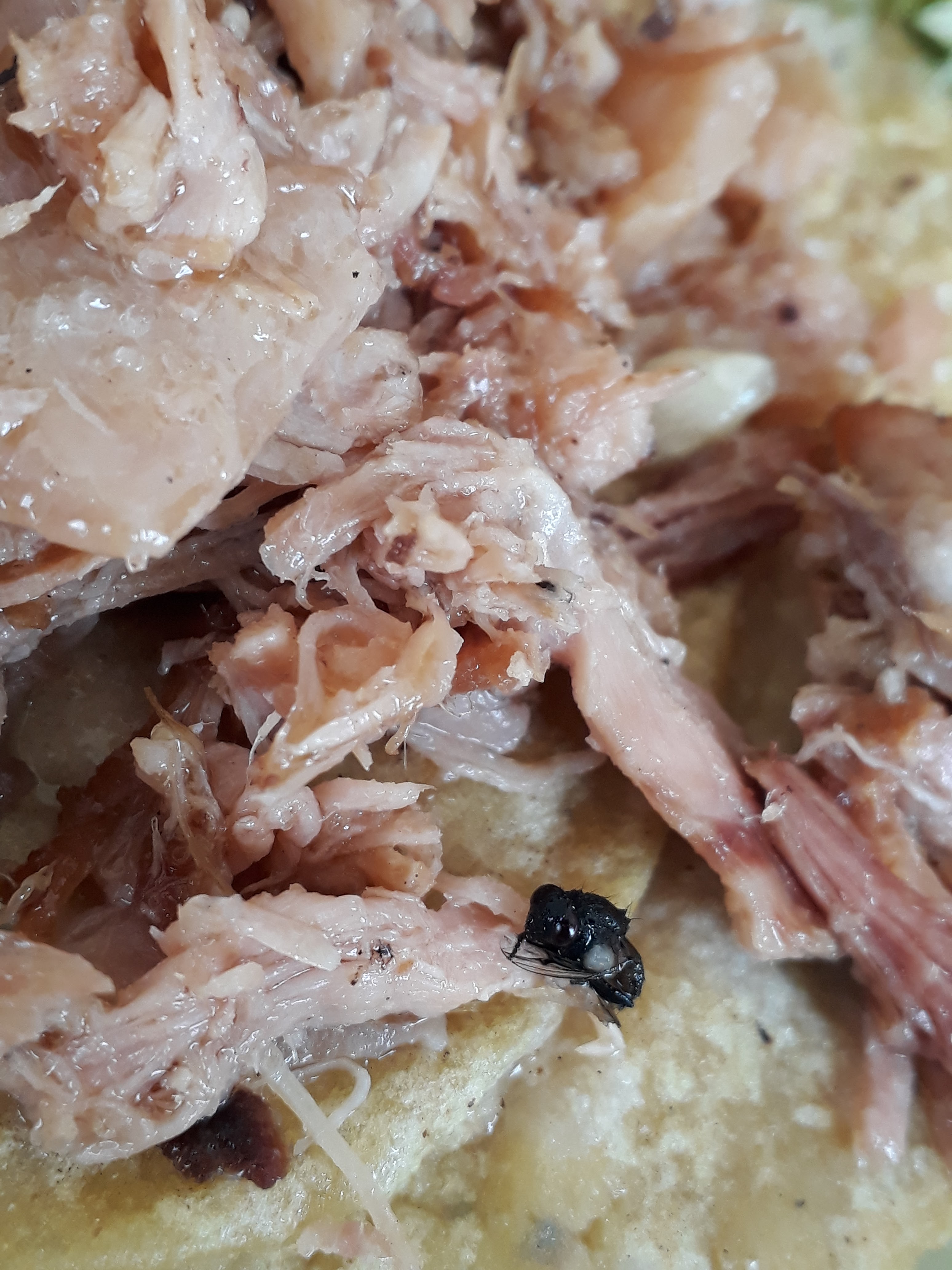 Carnitas El Cebollin Nogales image 6