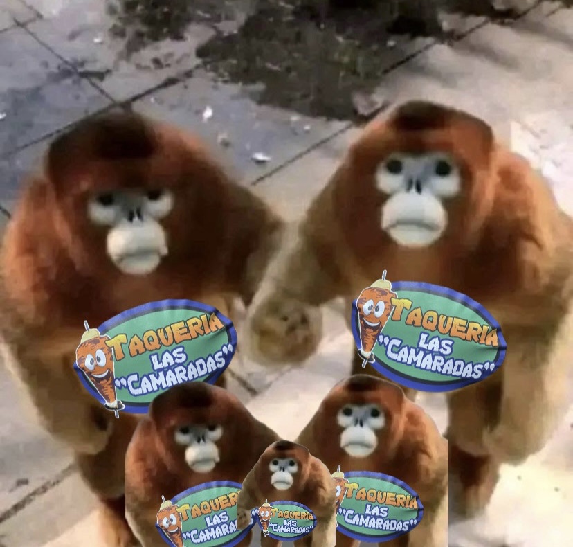 Takeria las camaradas image 6