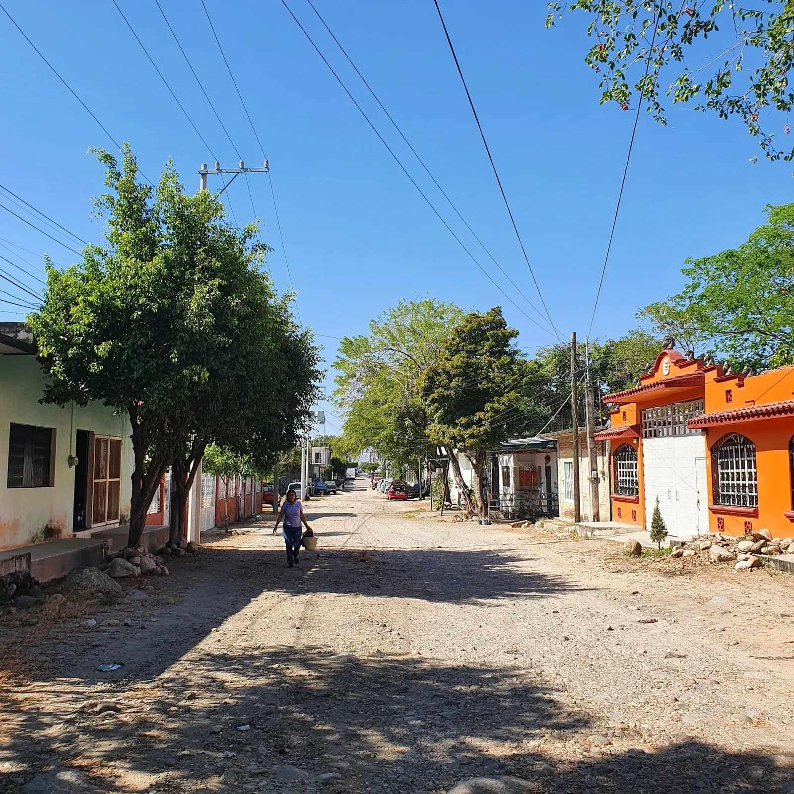 Pollo Rico image 7