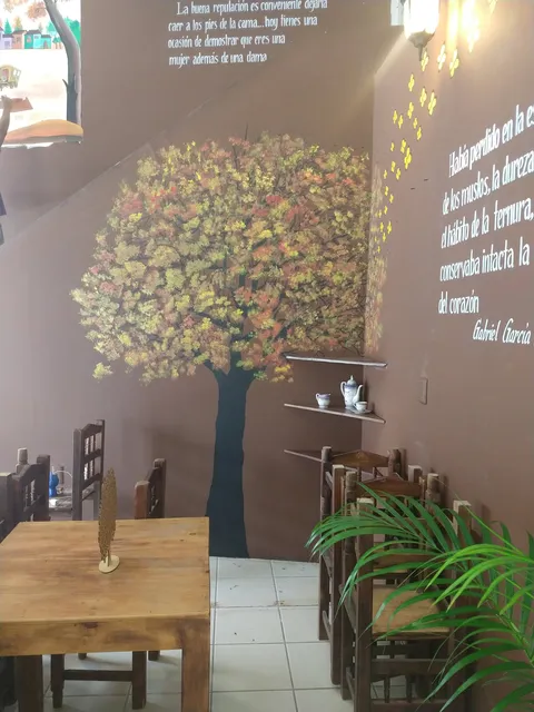 Macondo image 2