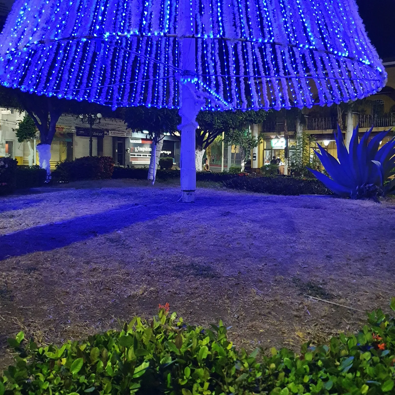 Macondo image 6
