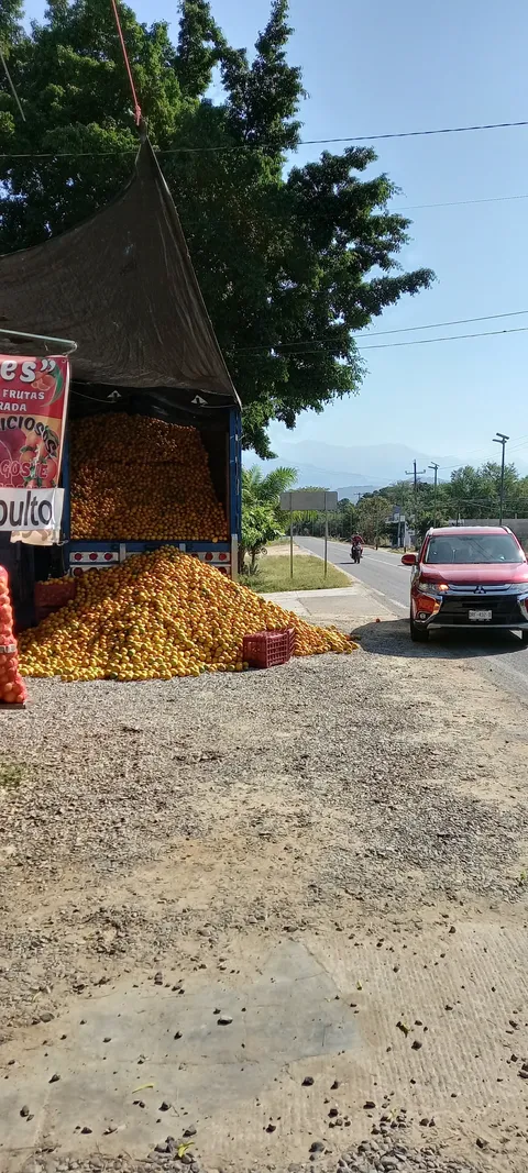 Cenaduria La Oaxaqueña. image 6