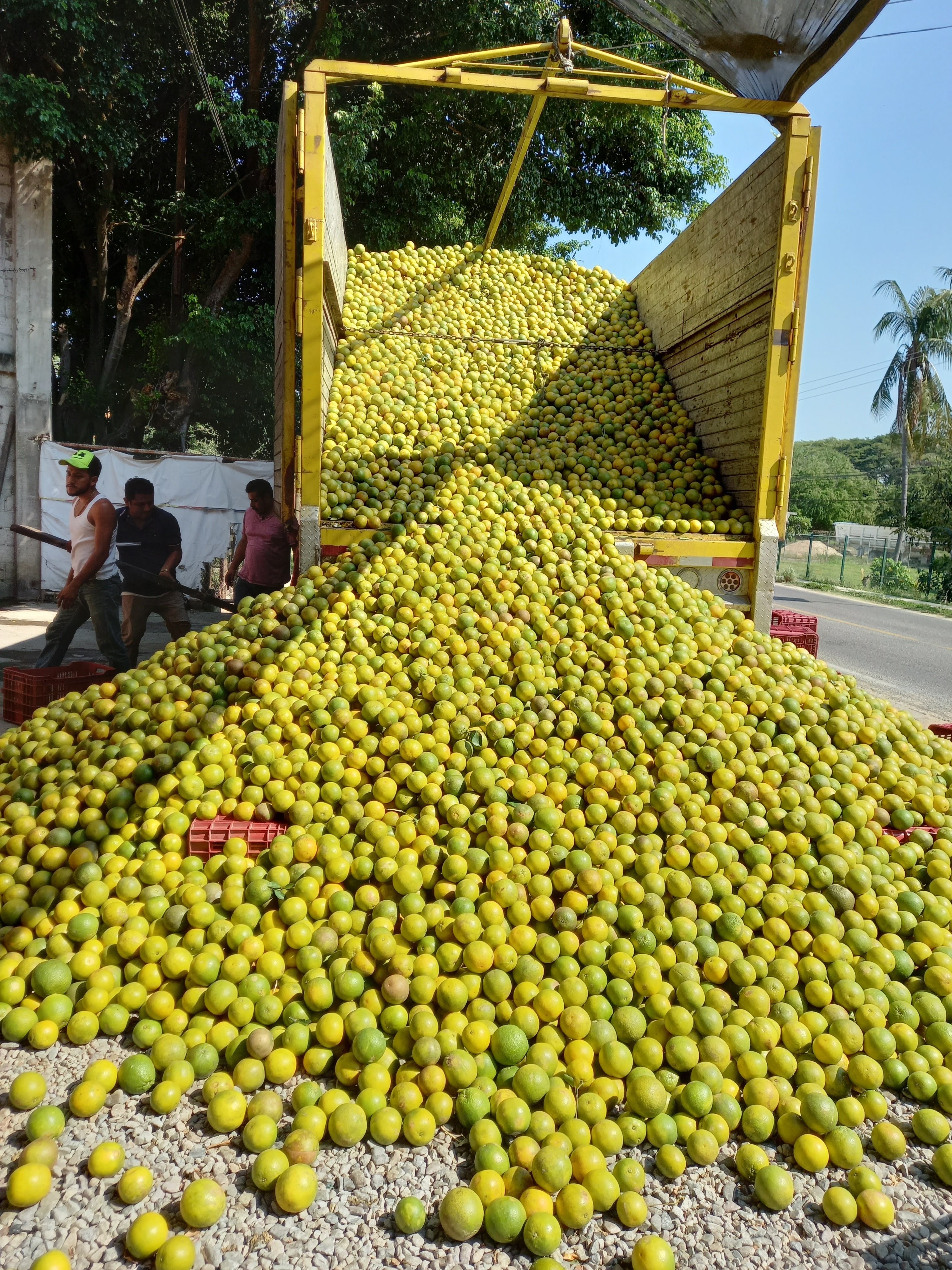 Cenaduria La Oaxaqueña. image 8