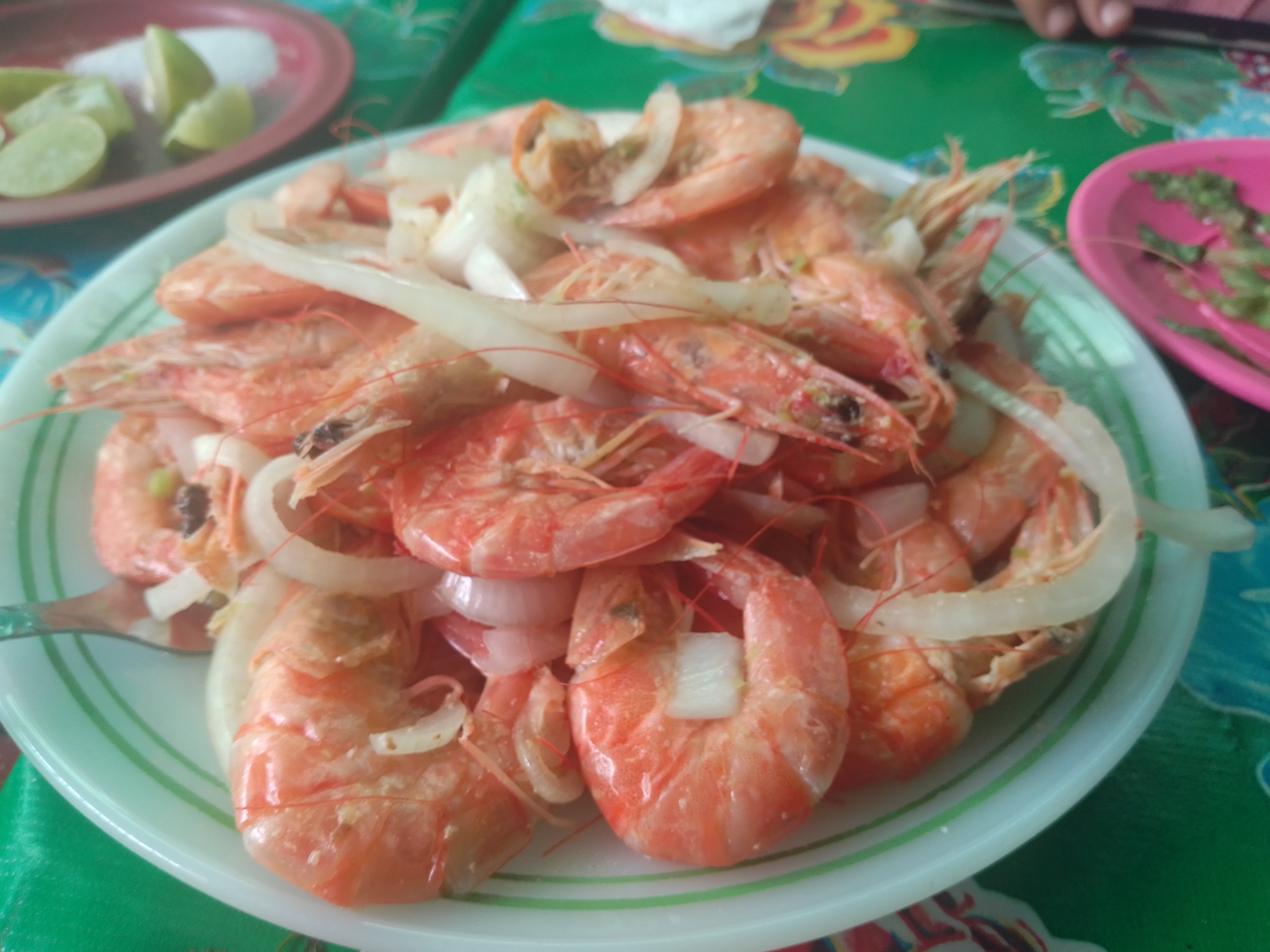 El Perro Negro Centro Botanero image 6