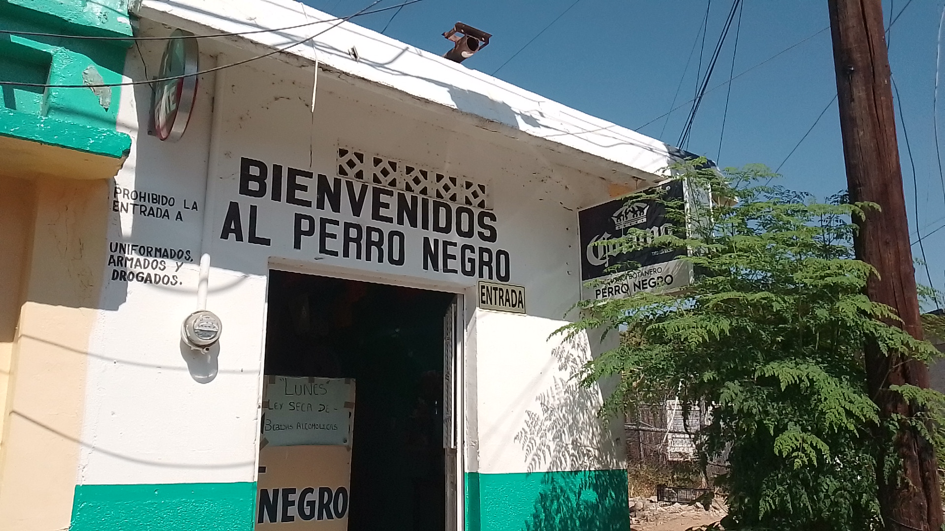 El Perro Negro Centro Botanero image 9