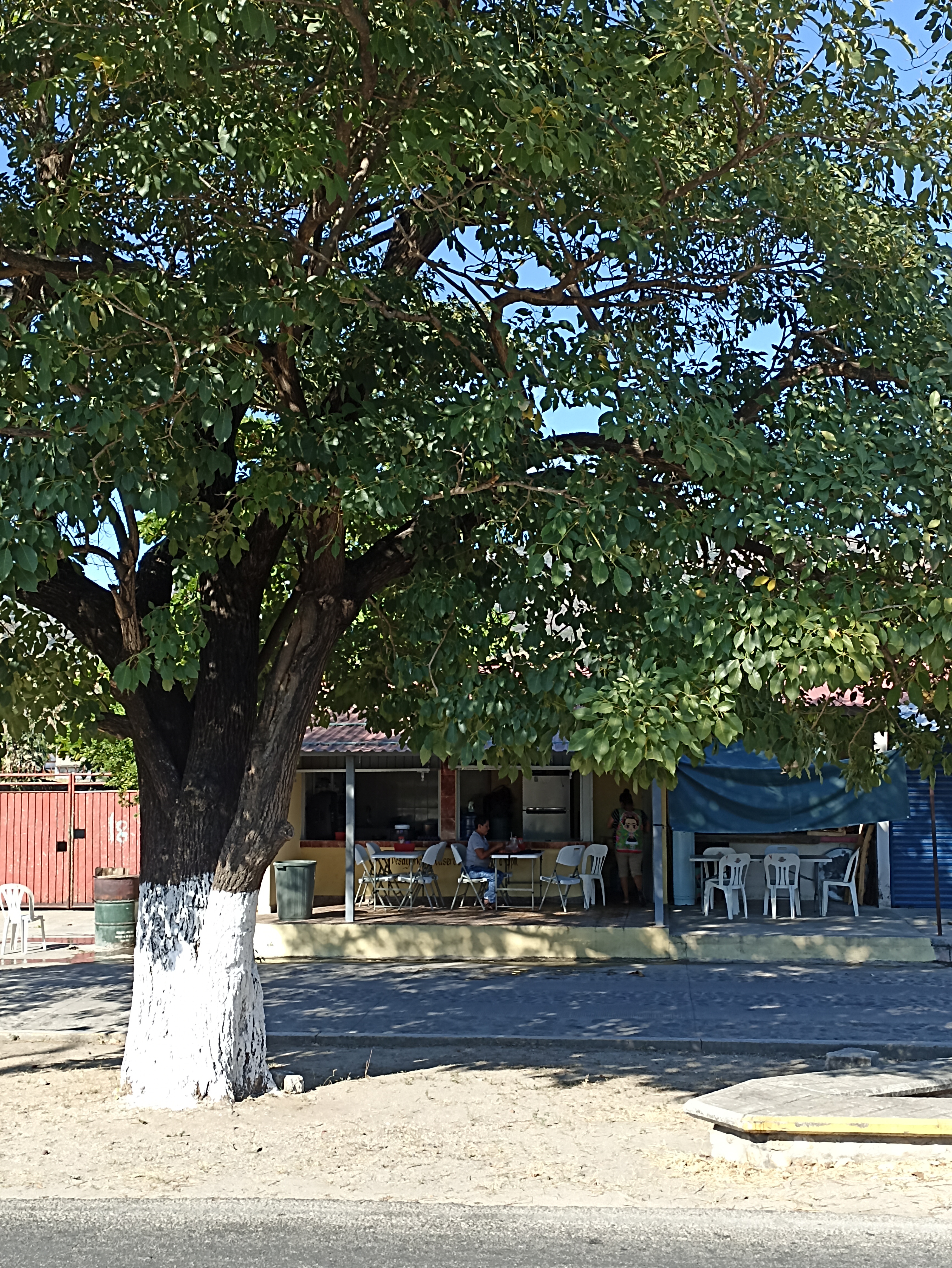 Toksito Balboa image 3