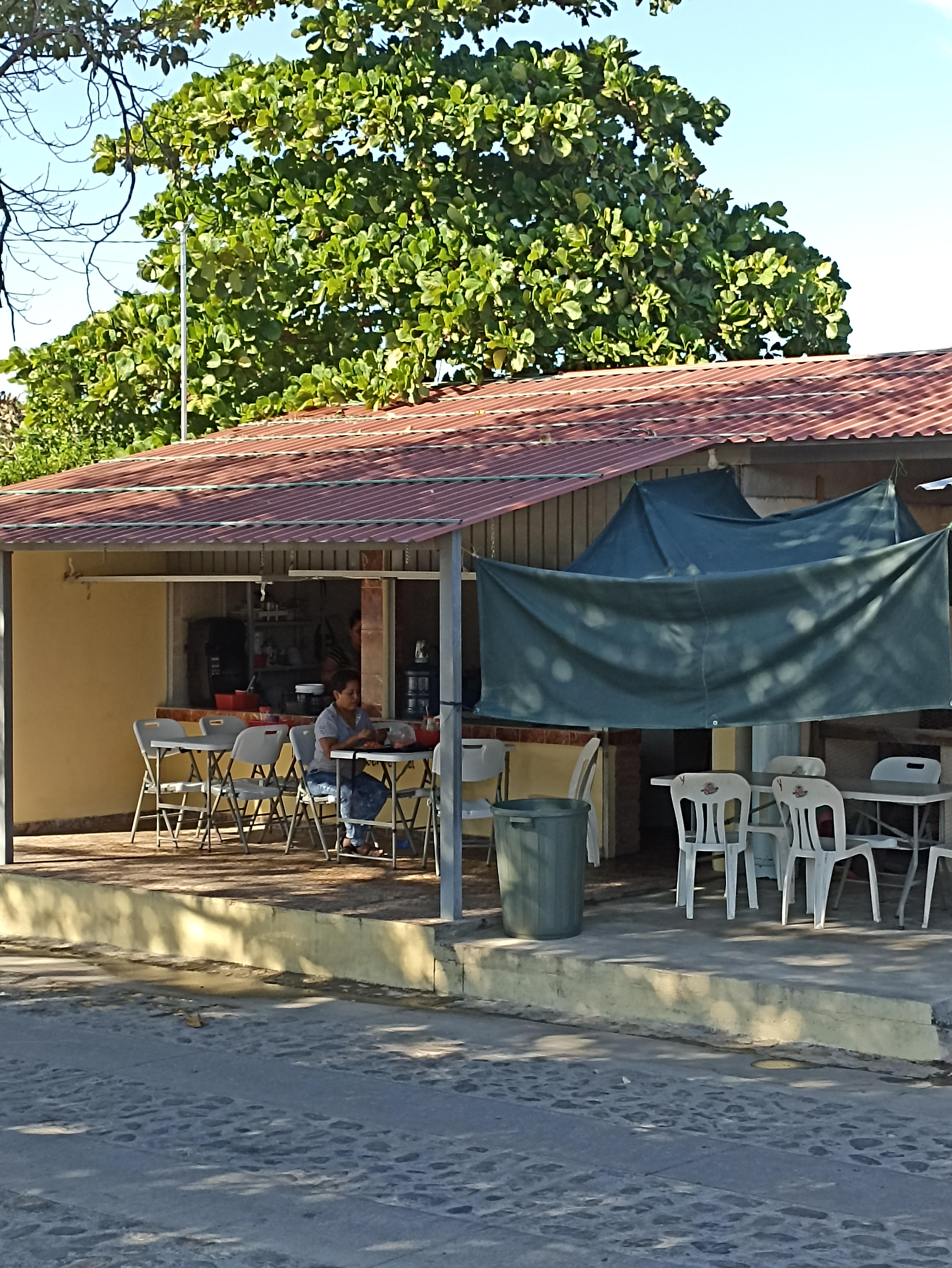 Toksito Balboa image 7