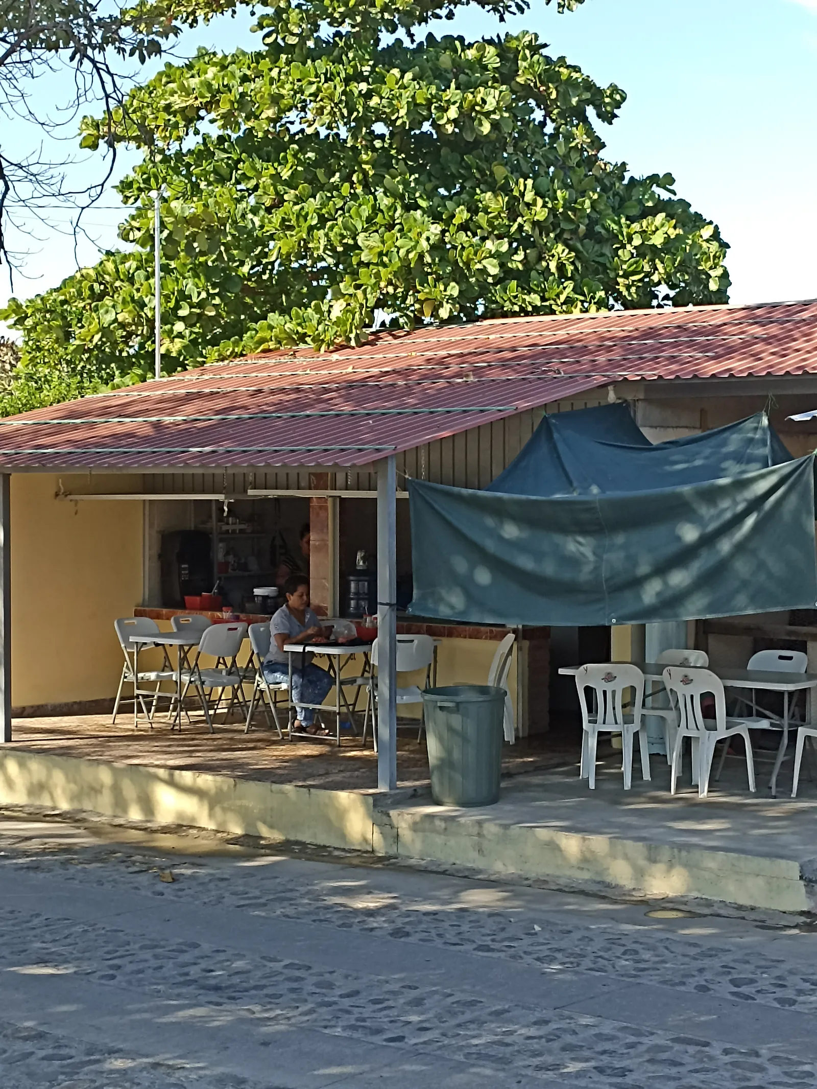 Toksito Balboa image 7