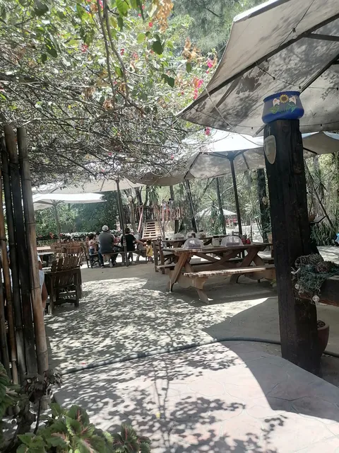 Barbacoa MAZAMITLA image 6