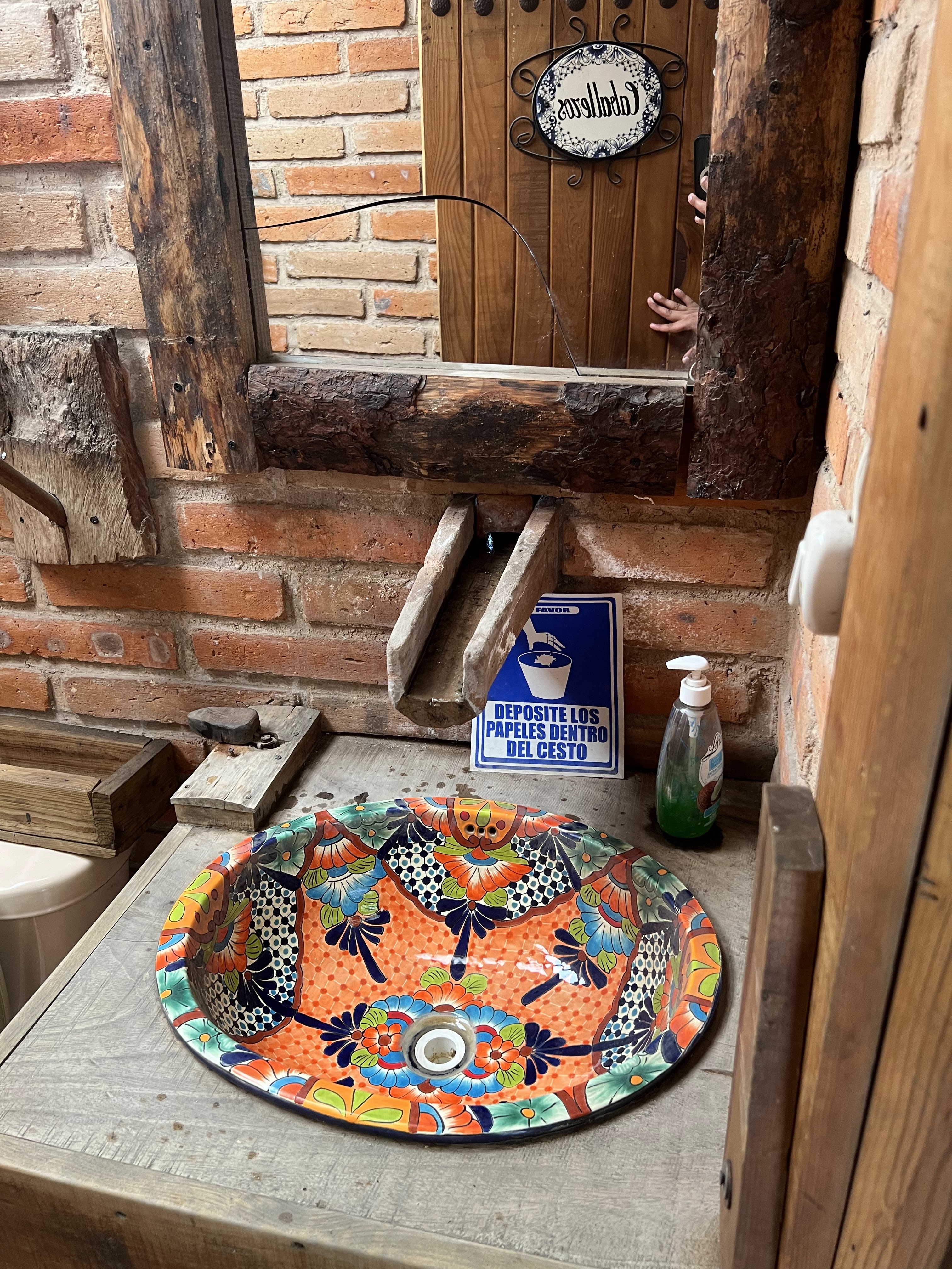 Barbacoa MAZAMITLA image 8