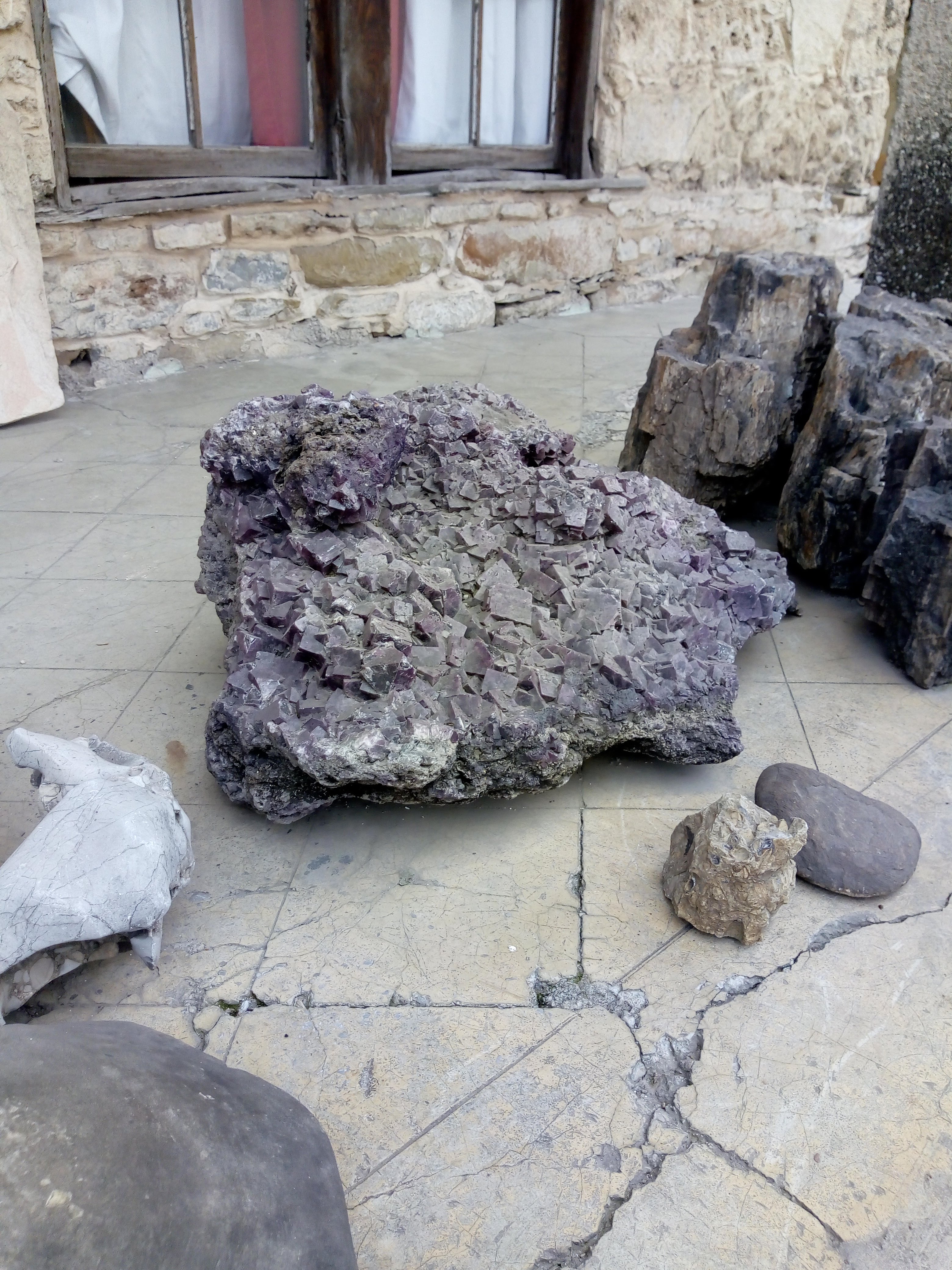 Minerva Gastroteca image 6