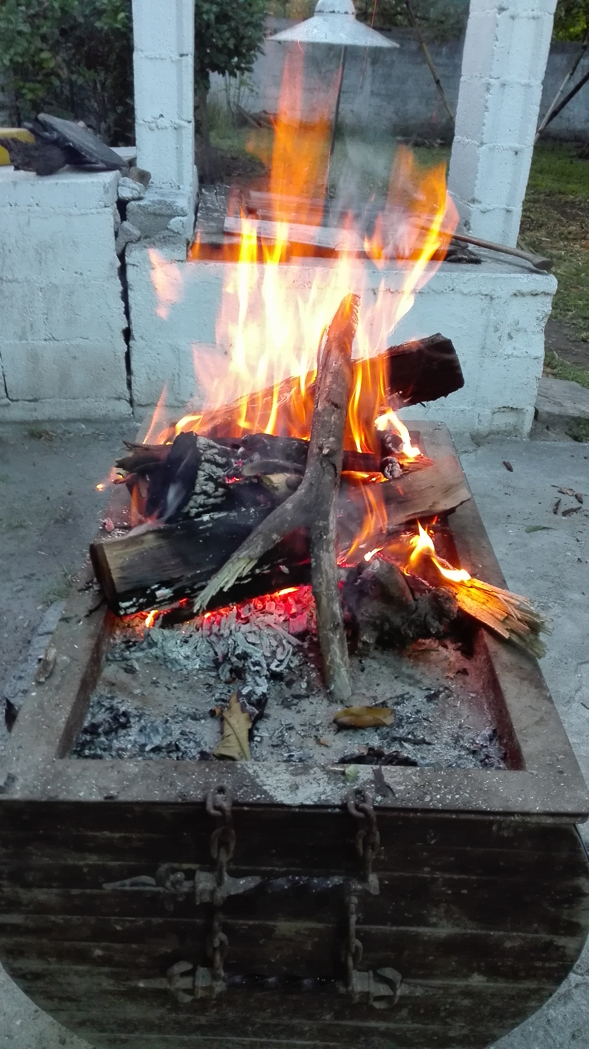 Aqui con Kiko image 7