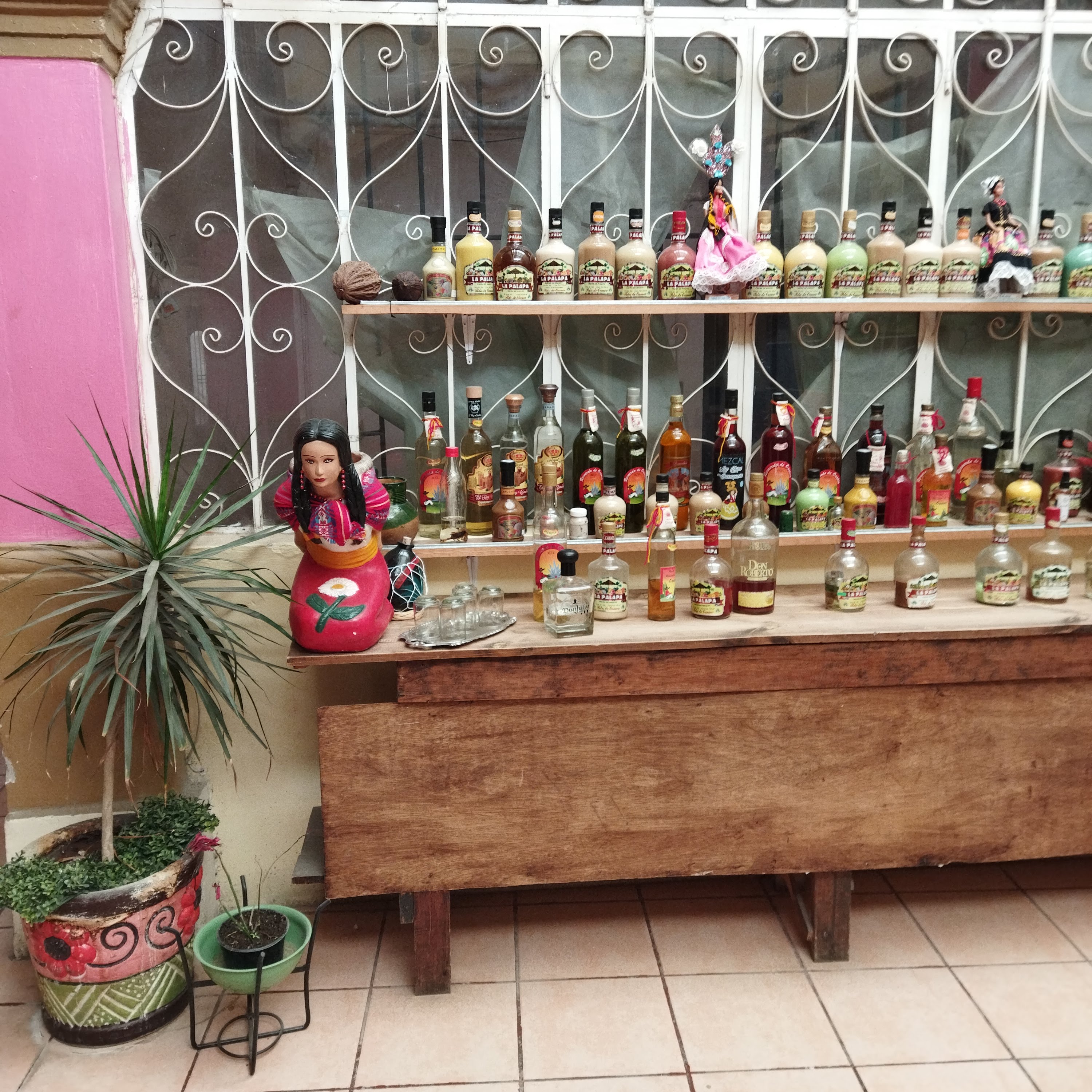 Oaxaca De Mil Sabores image 4