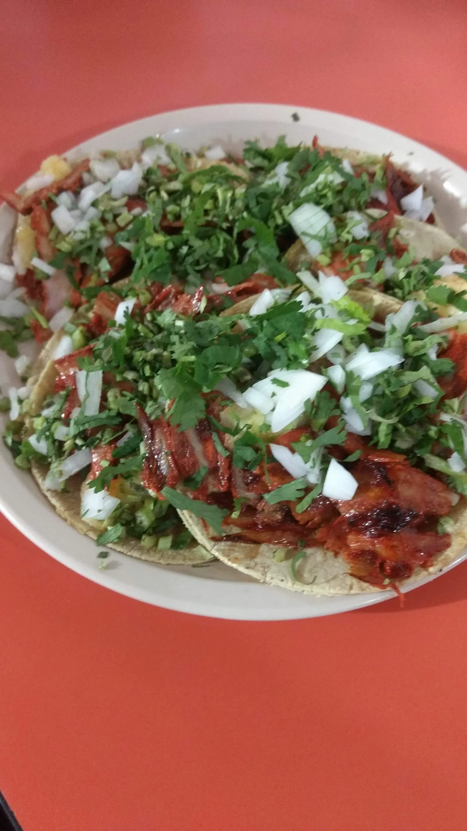 Taqueria El Pastorcito image 2