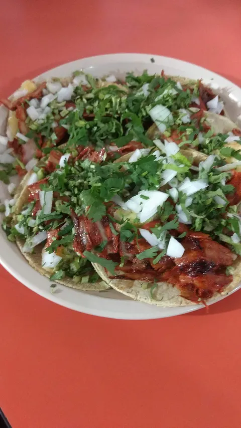 Taqueria El Pastorcito image 2