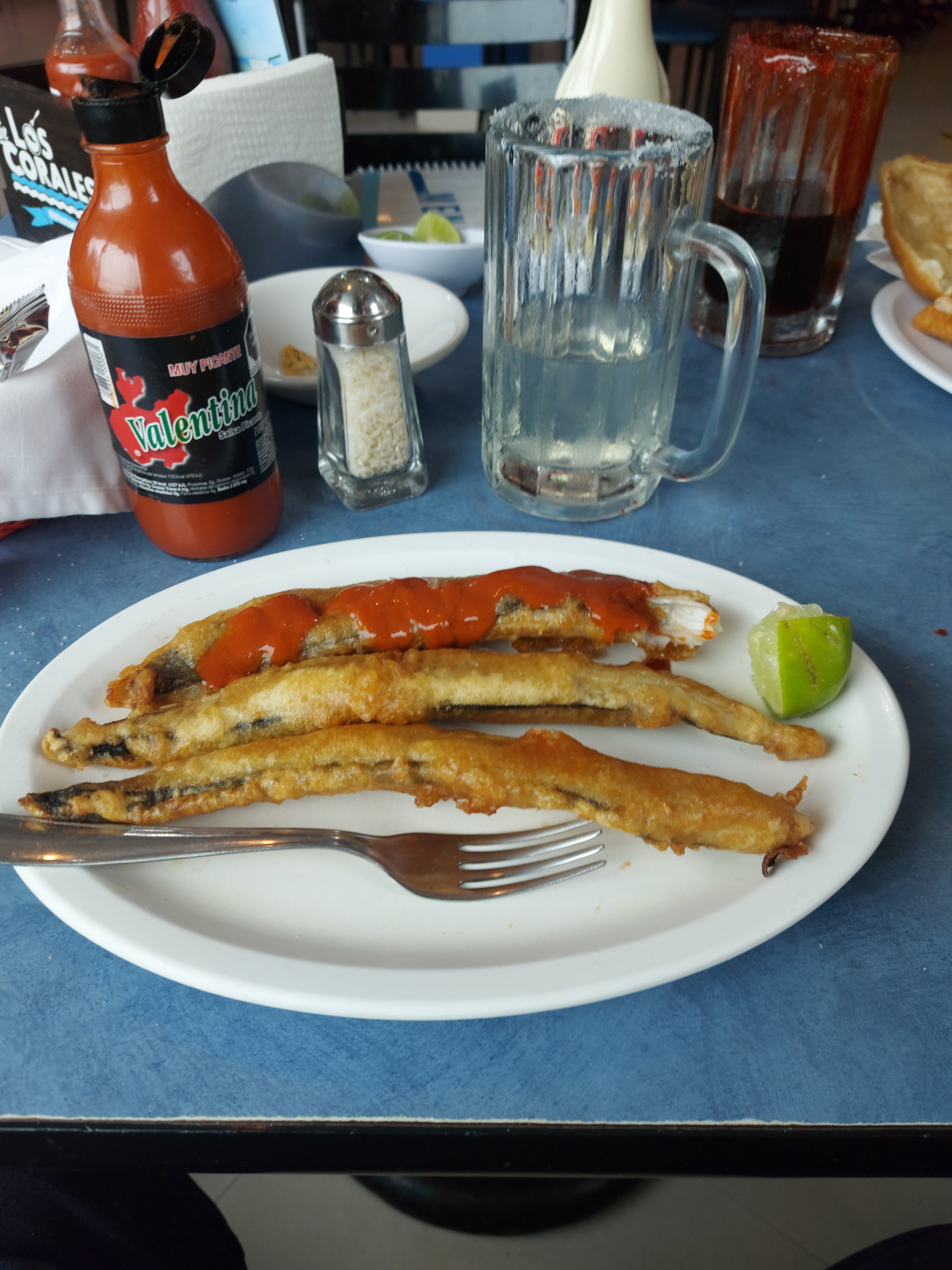 LOS CORALES image 10