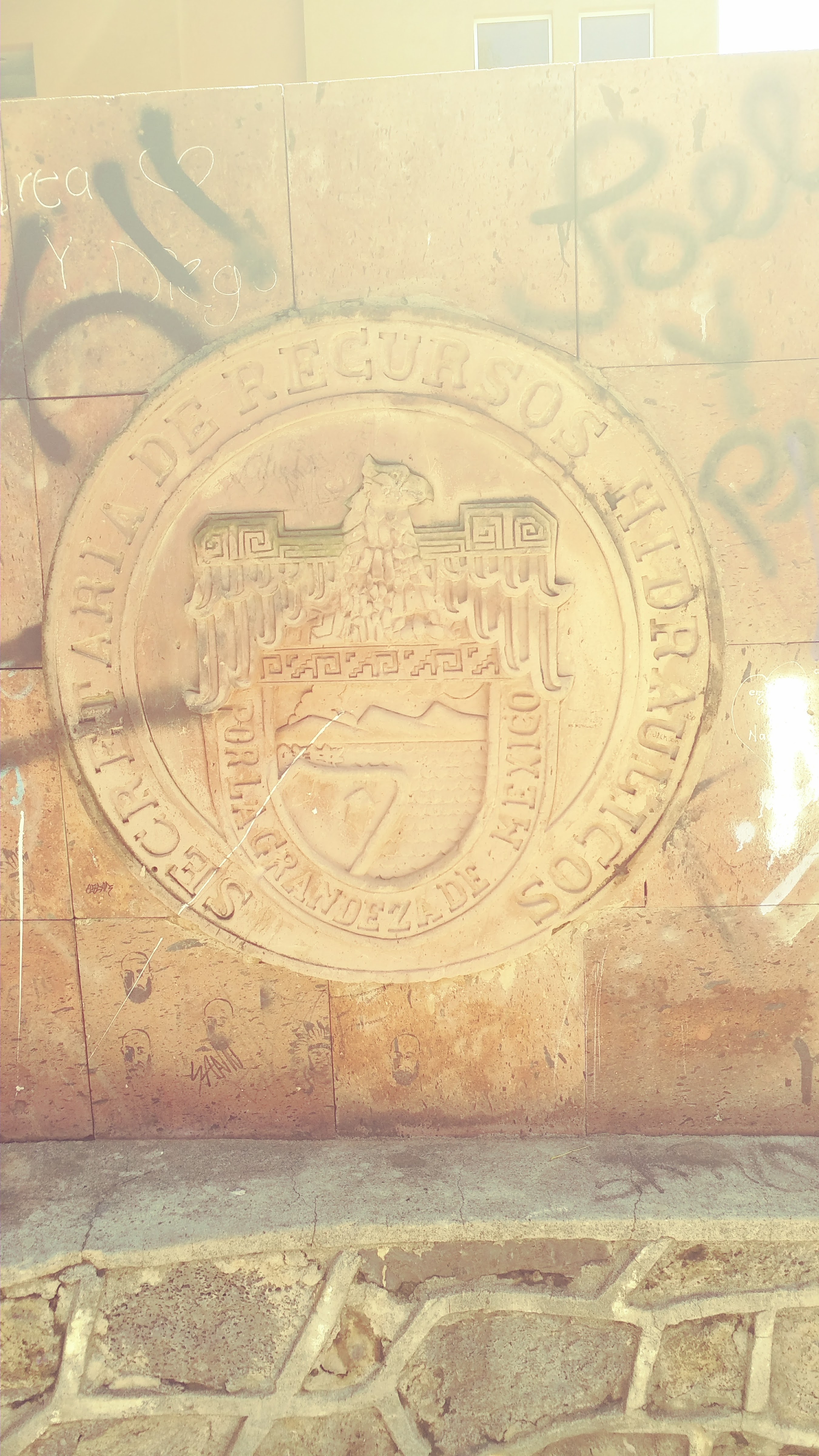 Tacos LUPITA image 9