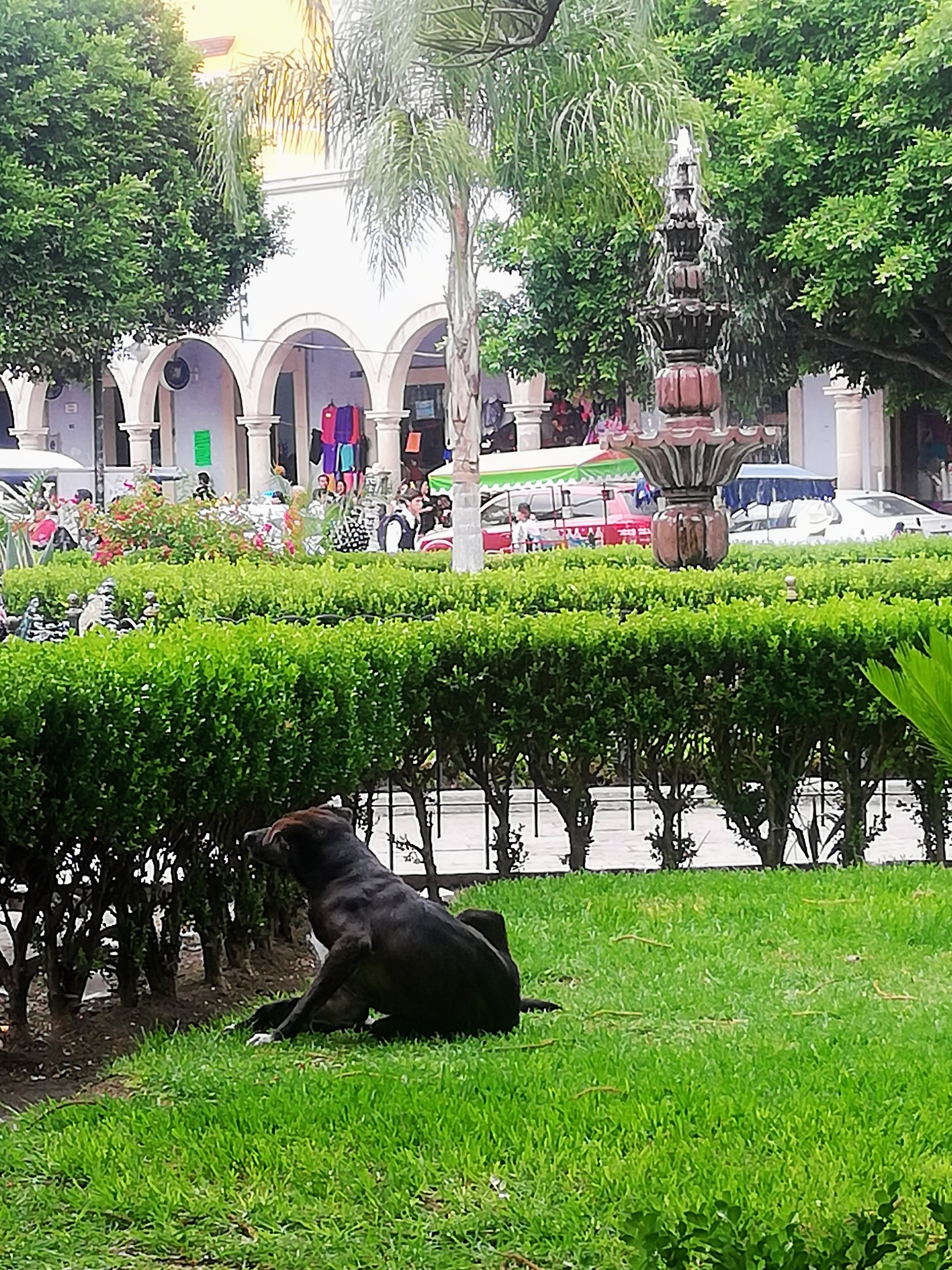 Guero's Pizza-Los Portales. image 1