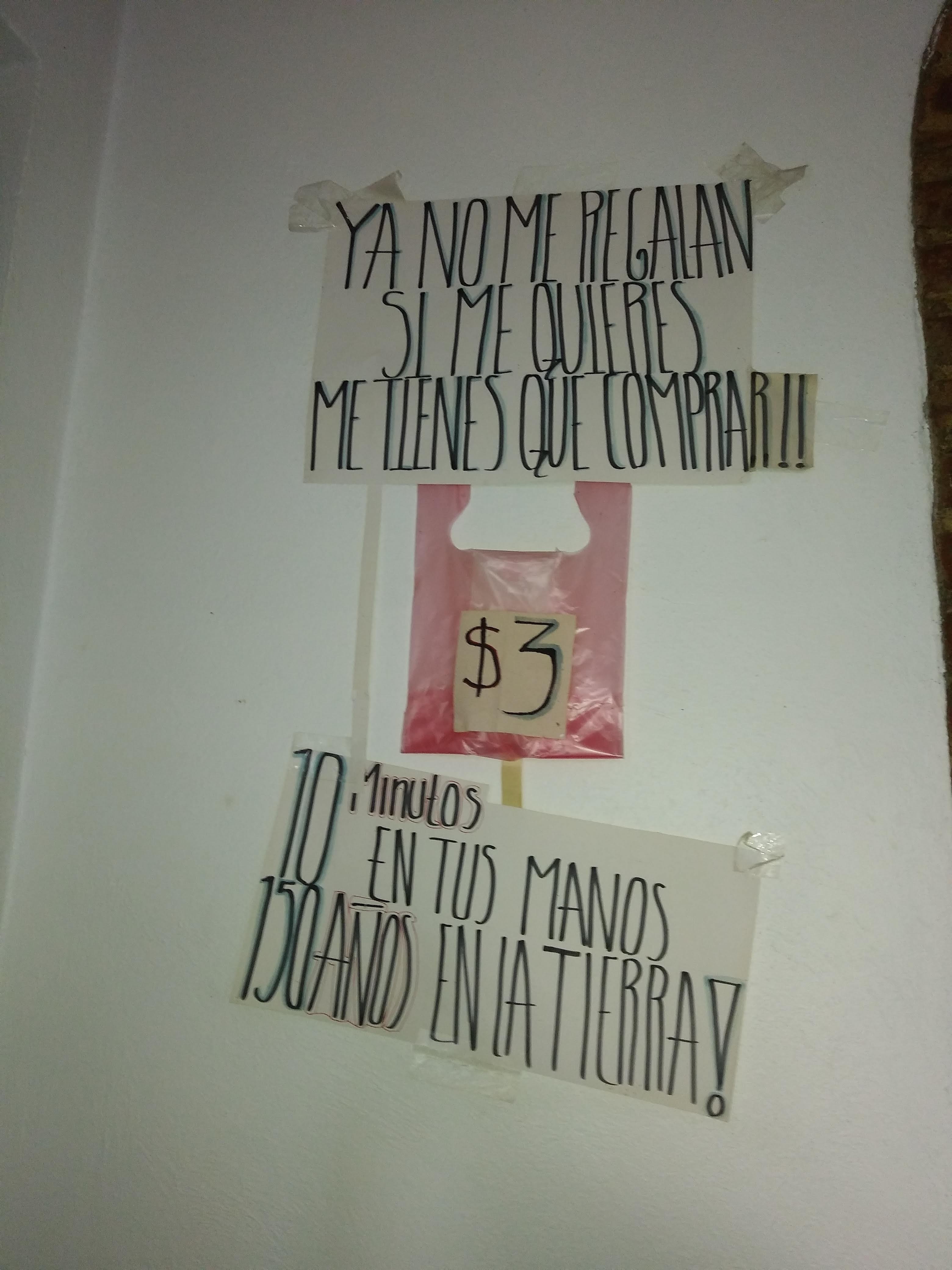 Guero's Pizza-Los Portales. image 3