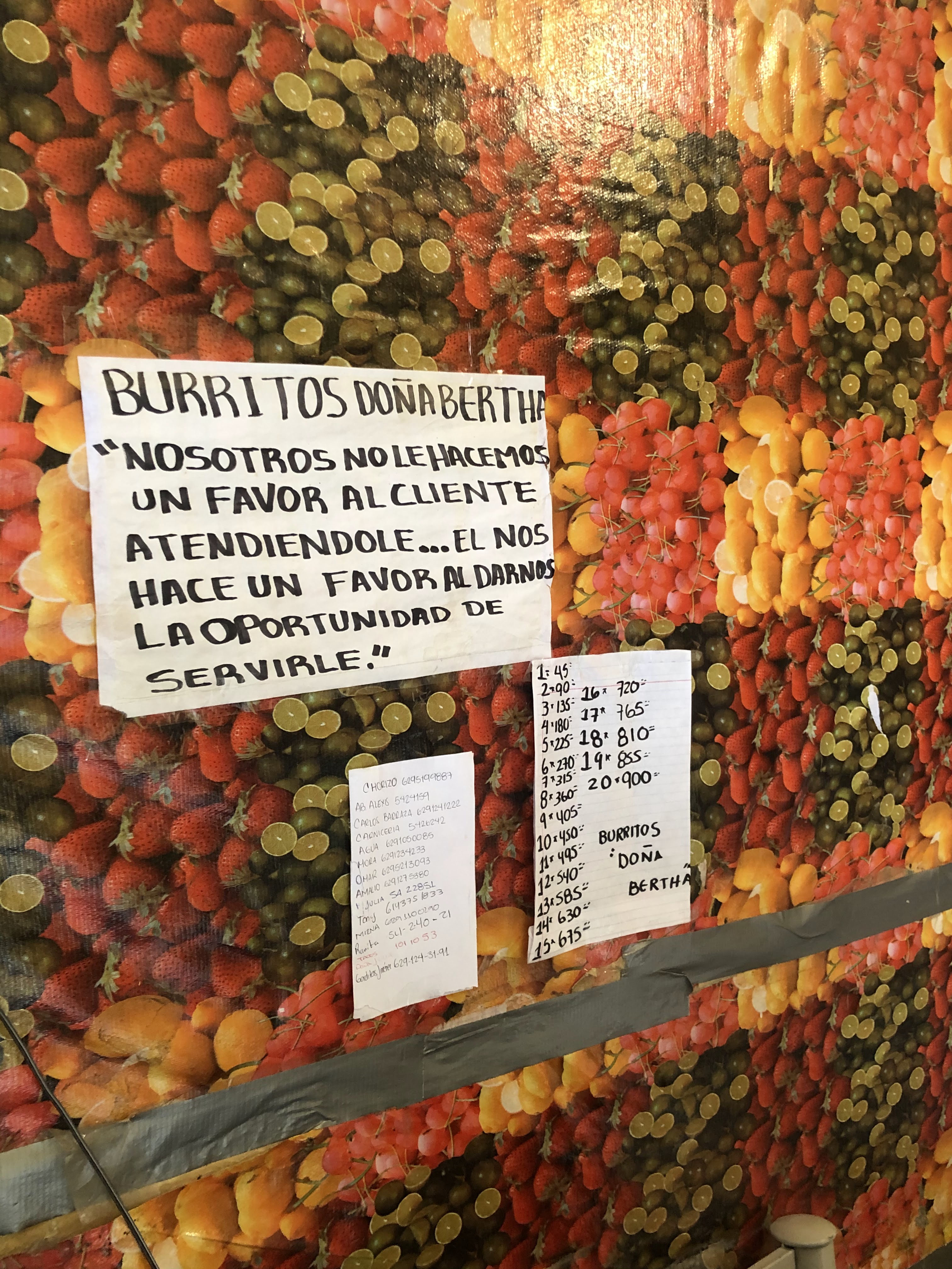 Bertha Burros image 6