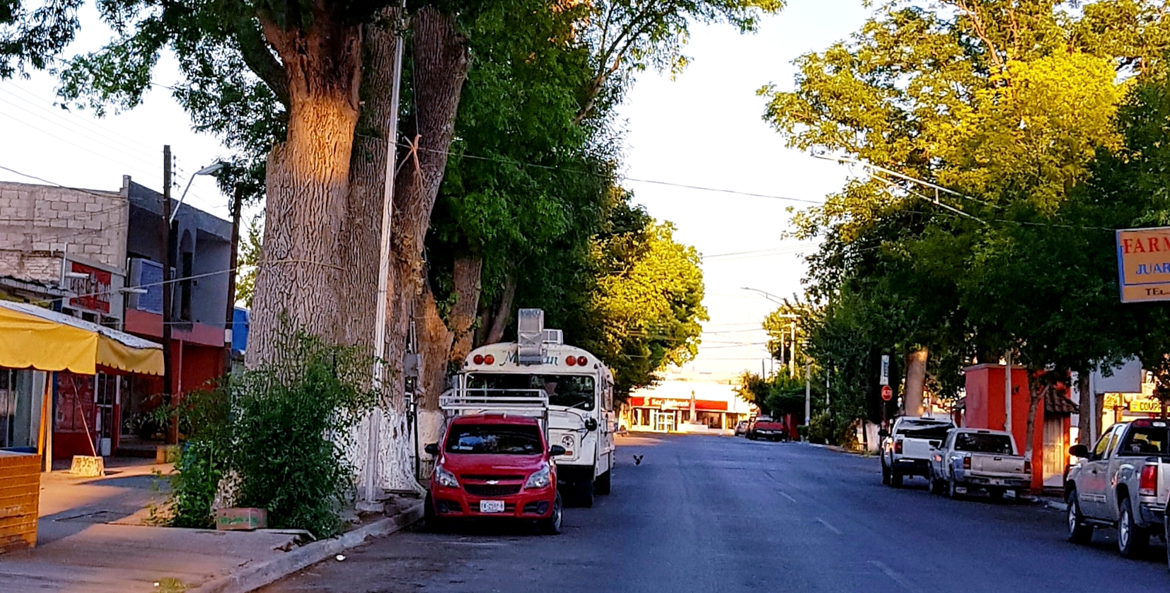 Antojitos Migran image 6