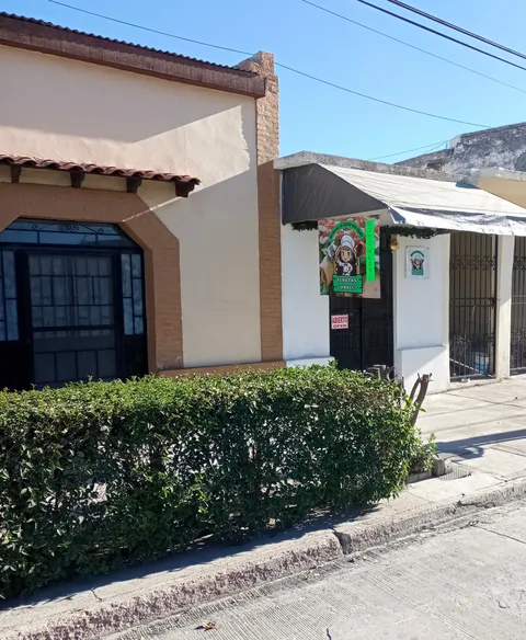 Flautas Pauli image 2
