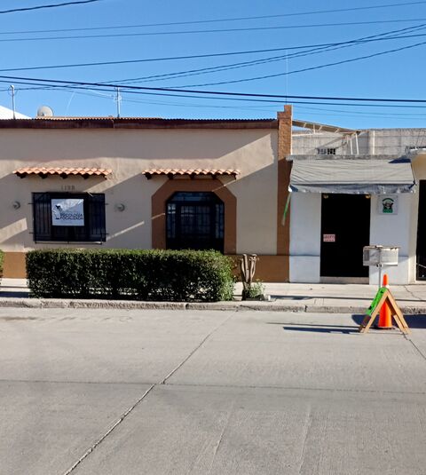 Flautas Pauli image 3
