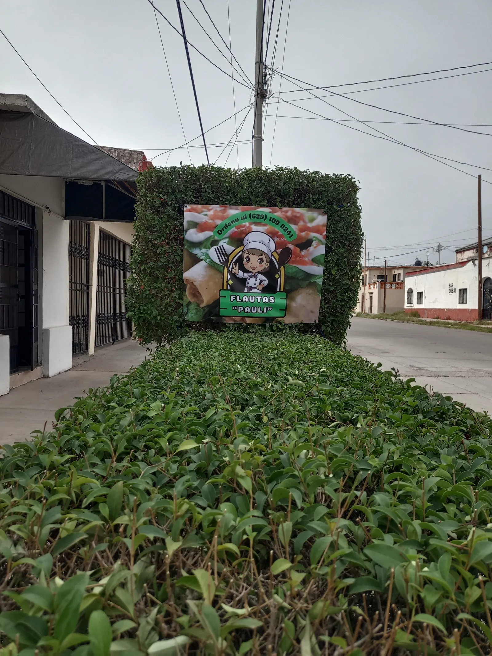 Flautas Pauli image 4