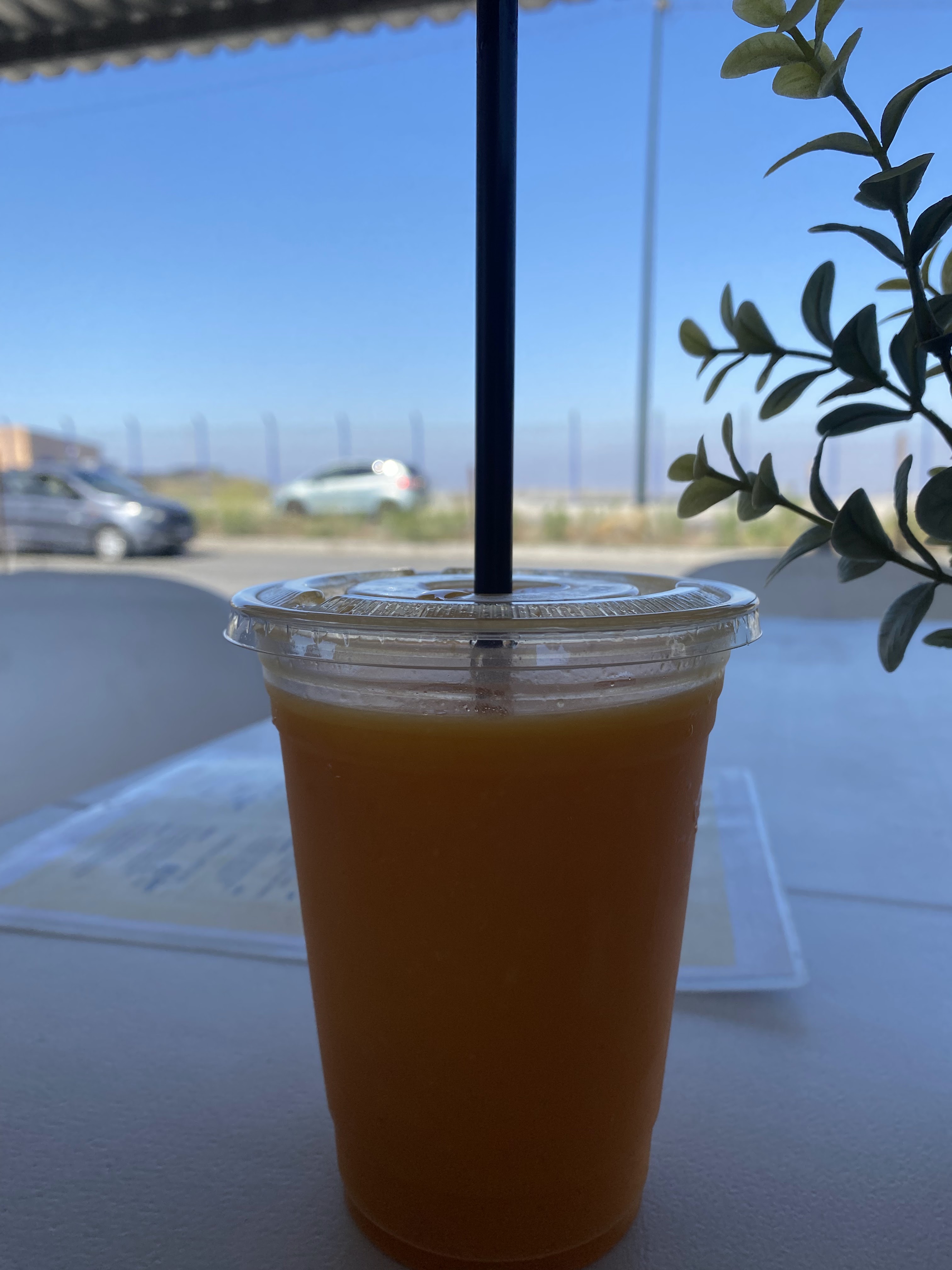 Barra Ligera image 7