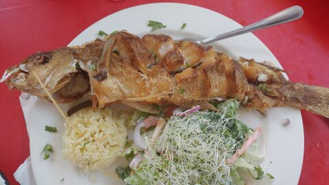 Tacos Titos image 1