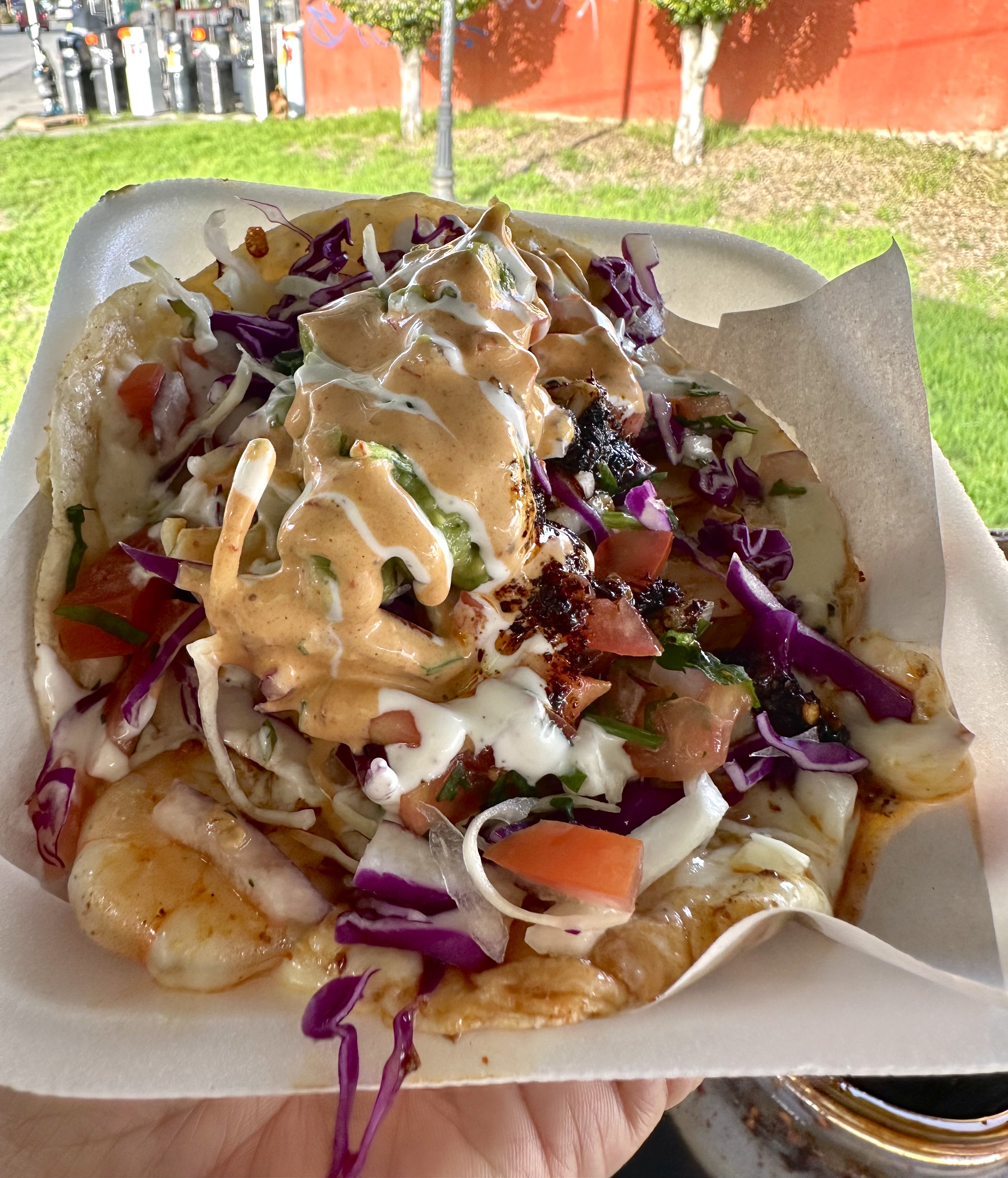 Street shrimp tacos image 1