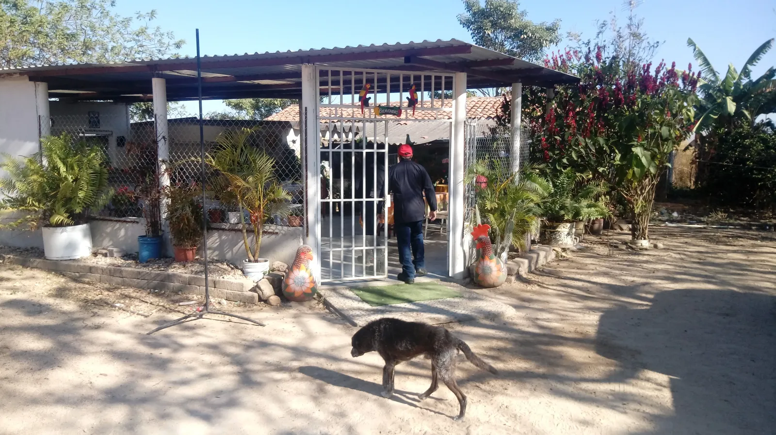 Comedor Tia Doris image 5