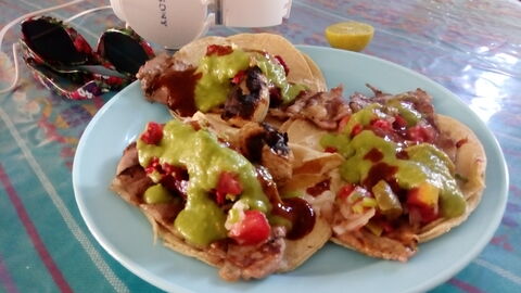 Tacos Mike image 4