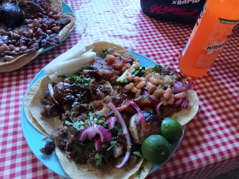 Tacos Mike image 5