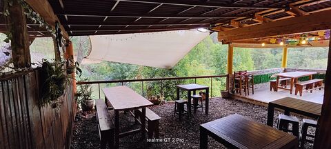 Restaurante los patos trucha al gusto image 1