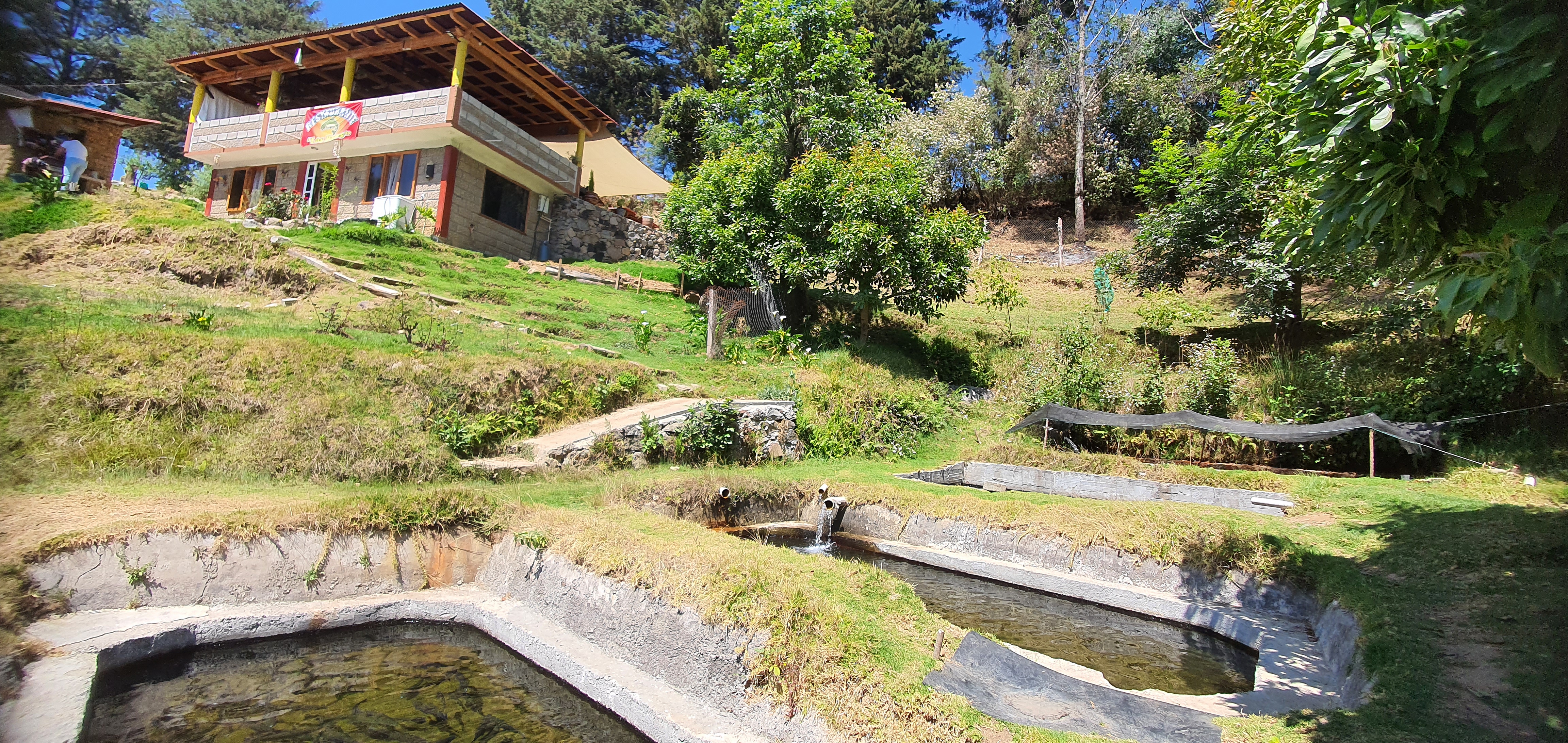 Restaurante los patos trucha al gusto image 3