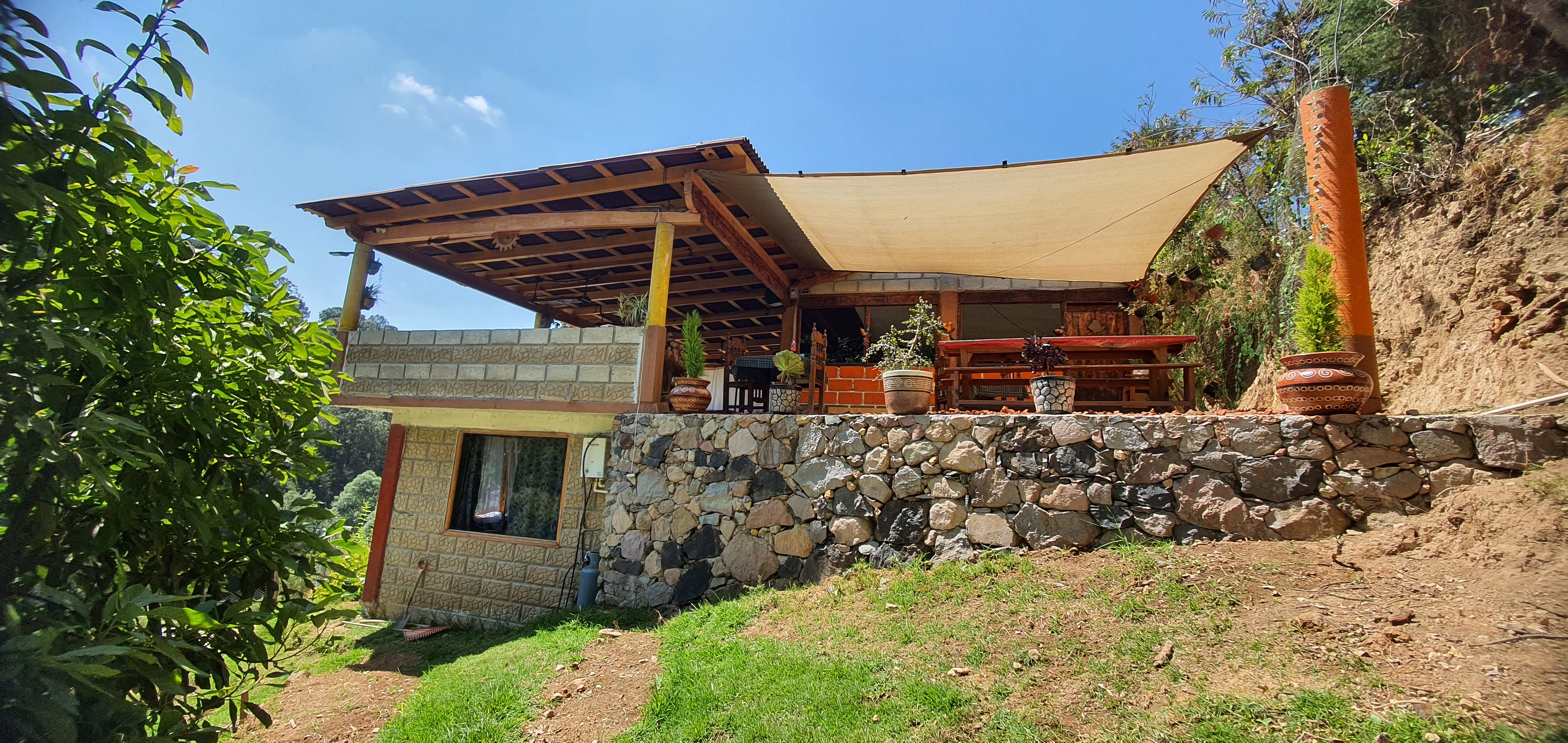 Restaurante los patos trucha al gusto image 6