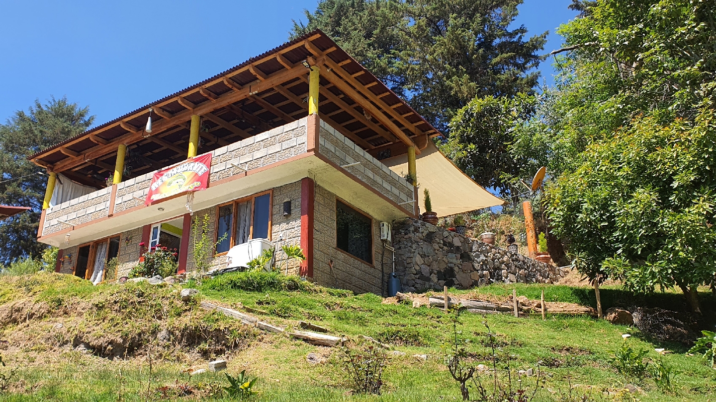 Restaurante los patos trucha al gusto image 7