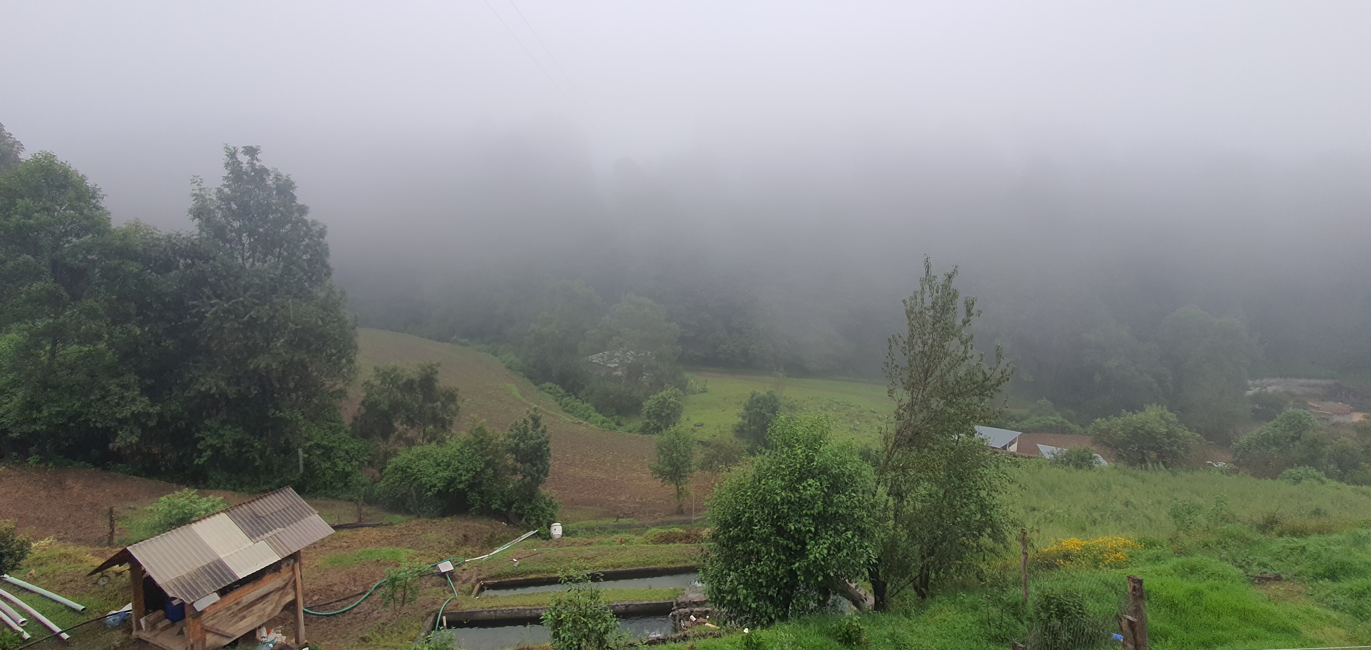 Restaurante los patos trucha al gusto image 10