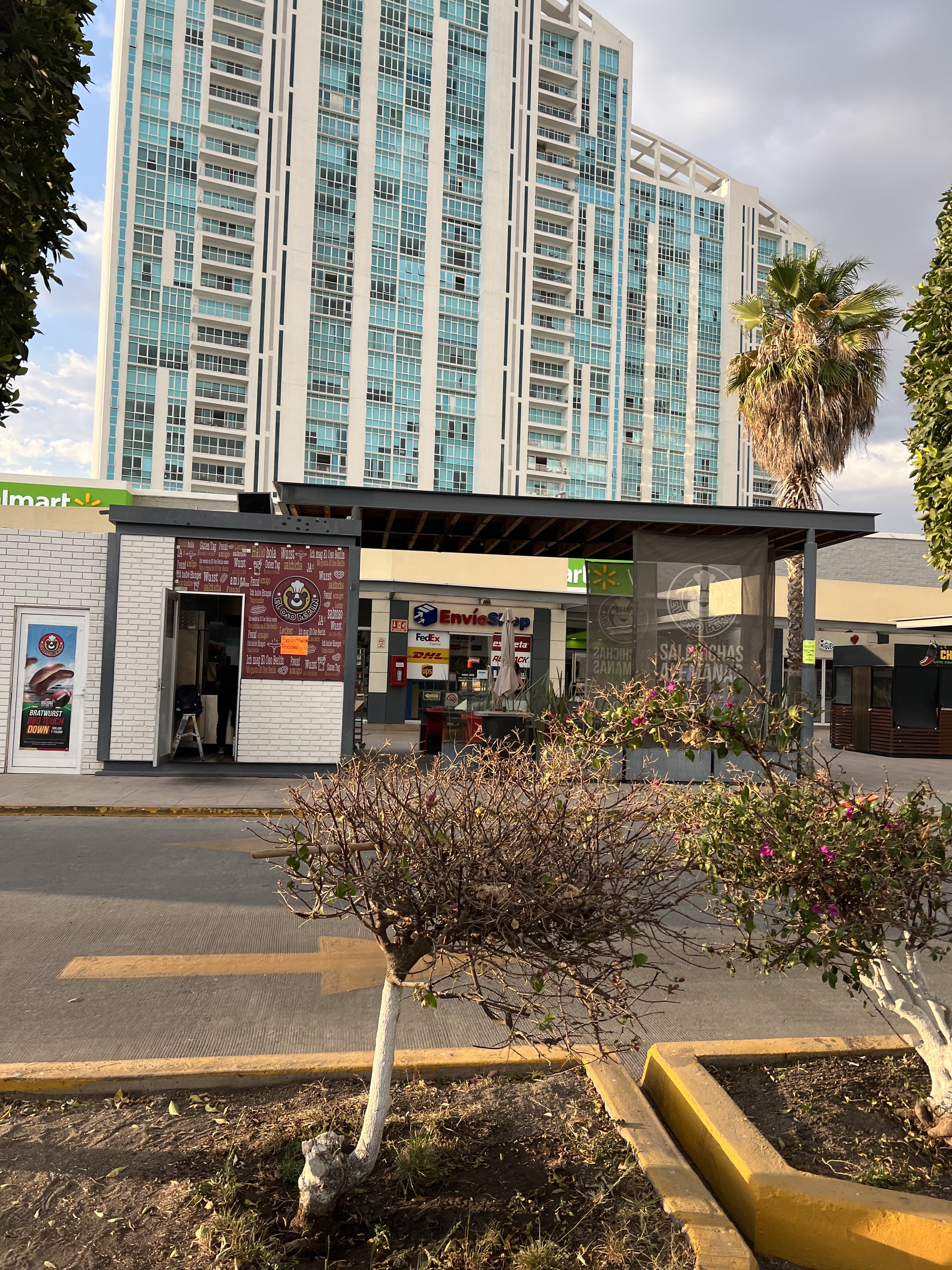 El Oso Berlin image 6