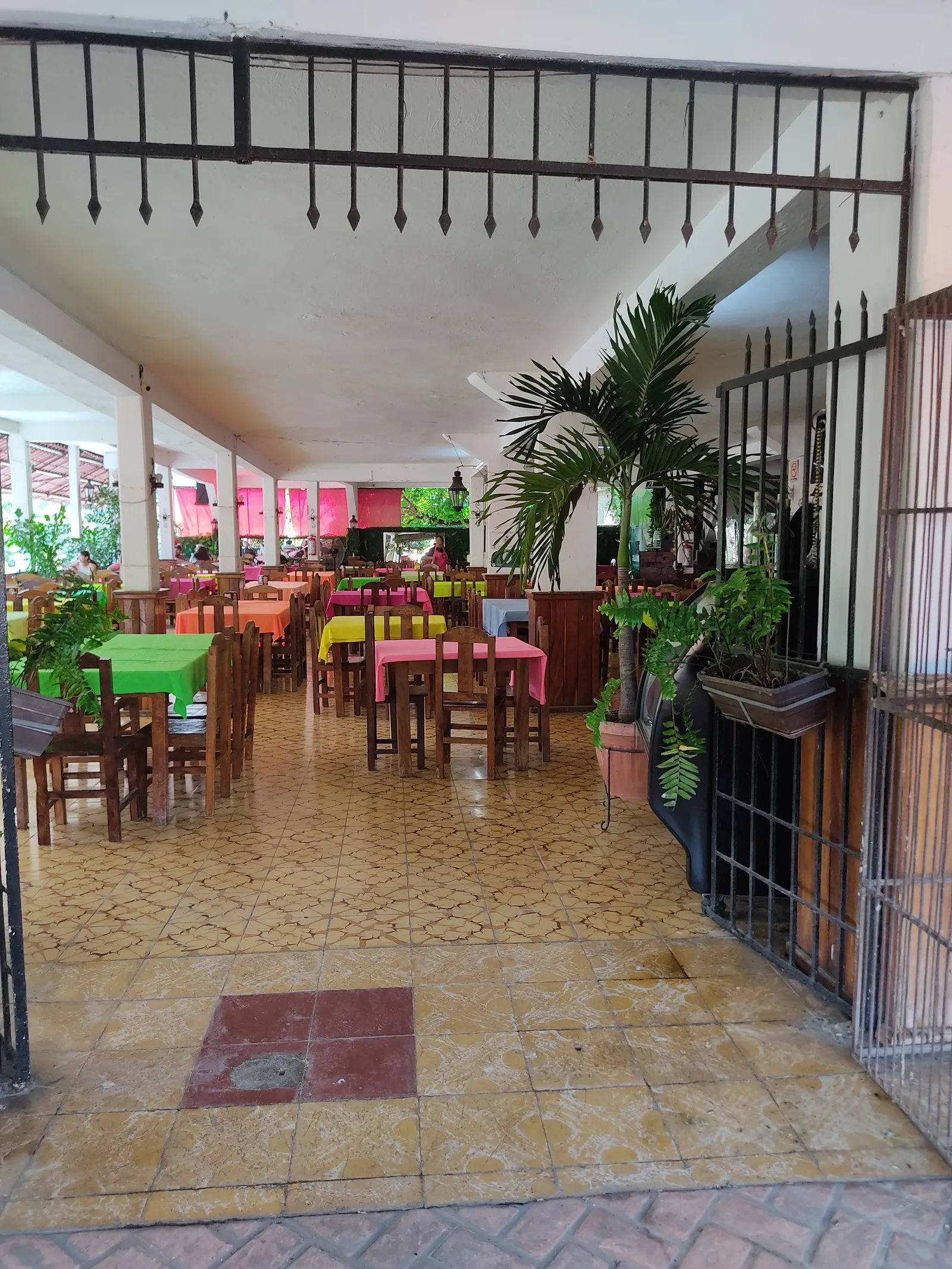 Nachita image 9
