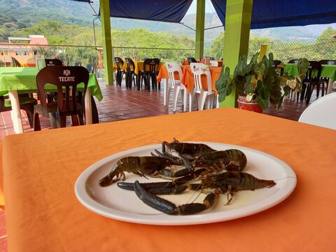 El Puente image 8