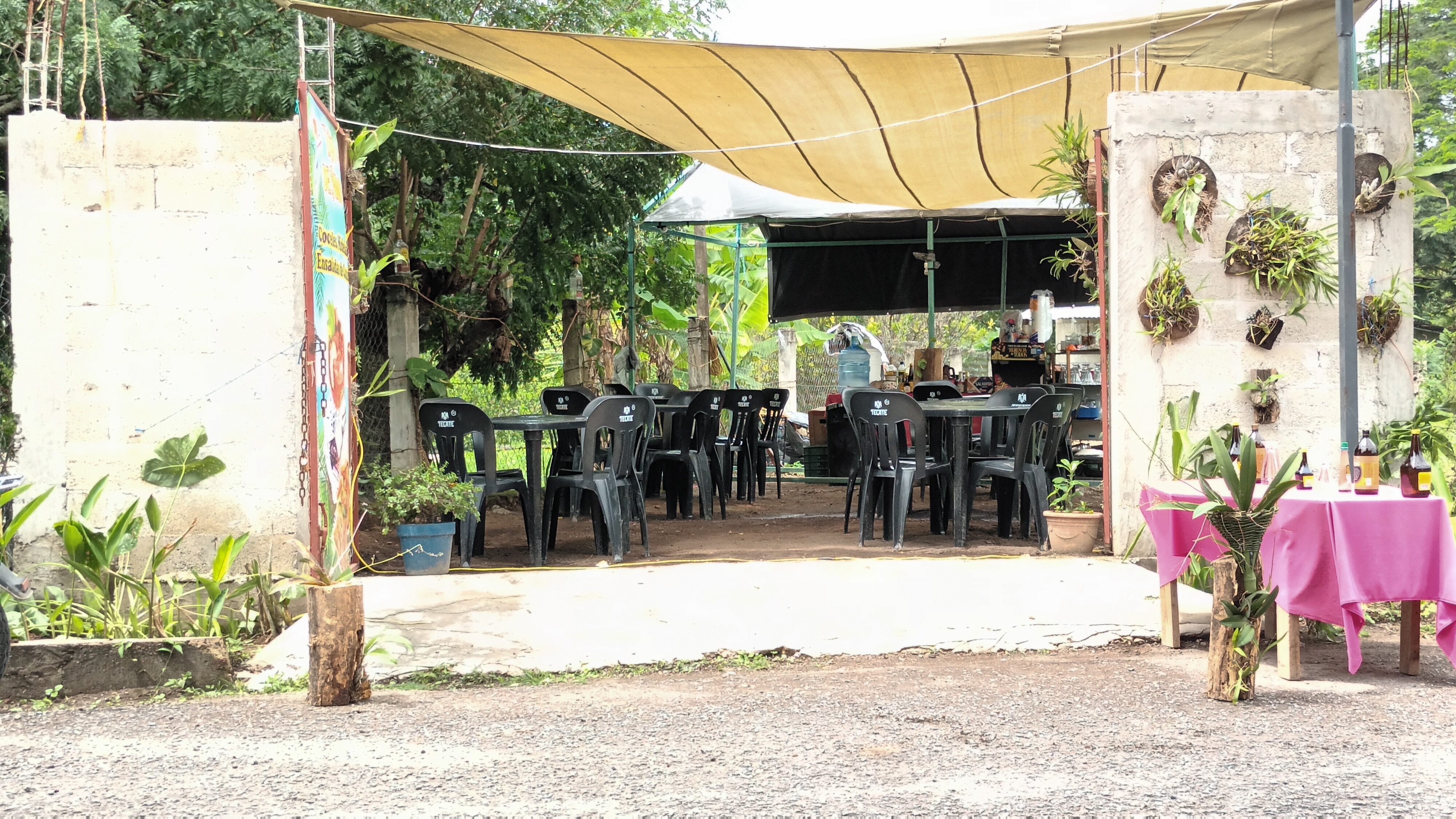 El Ave Del Paraiso image 1