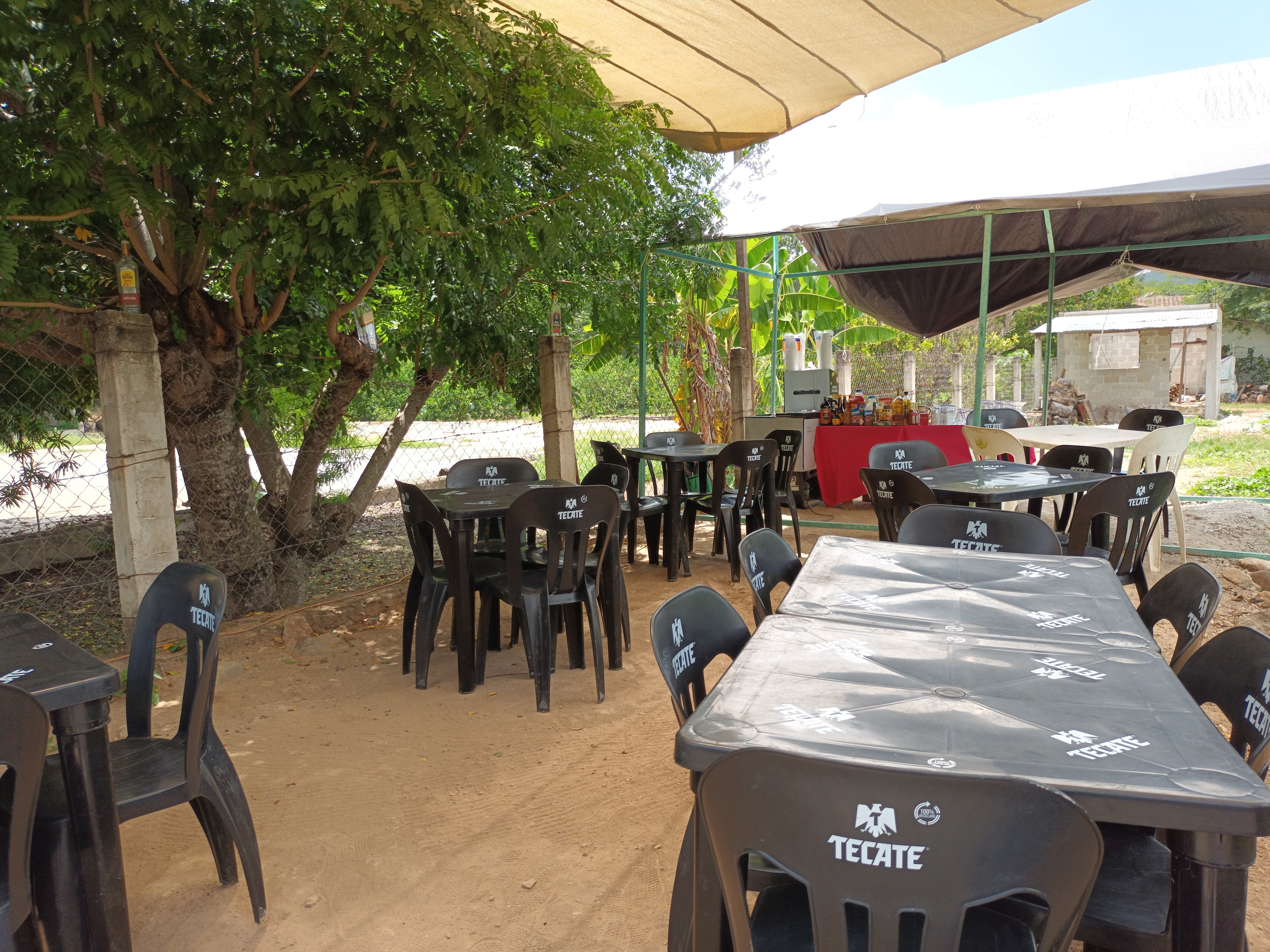 El Ave Del Paraiso image 3