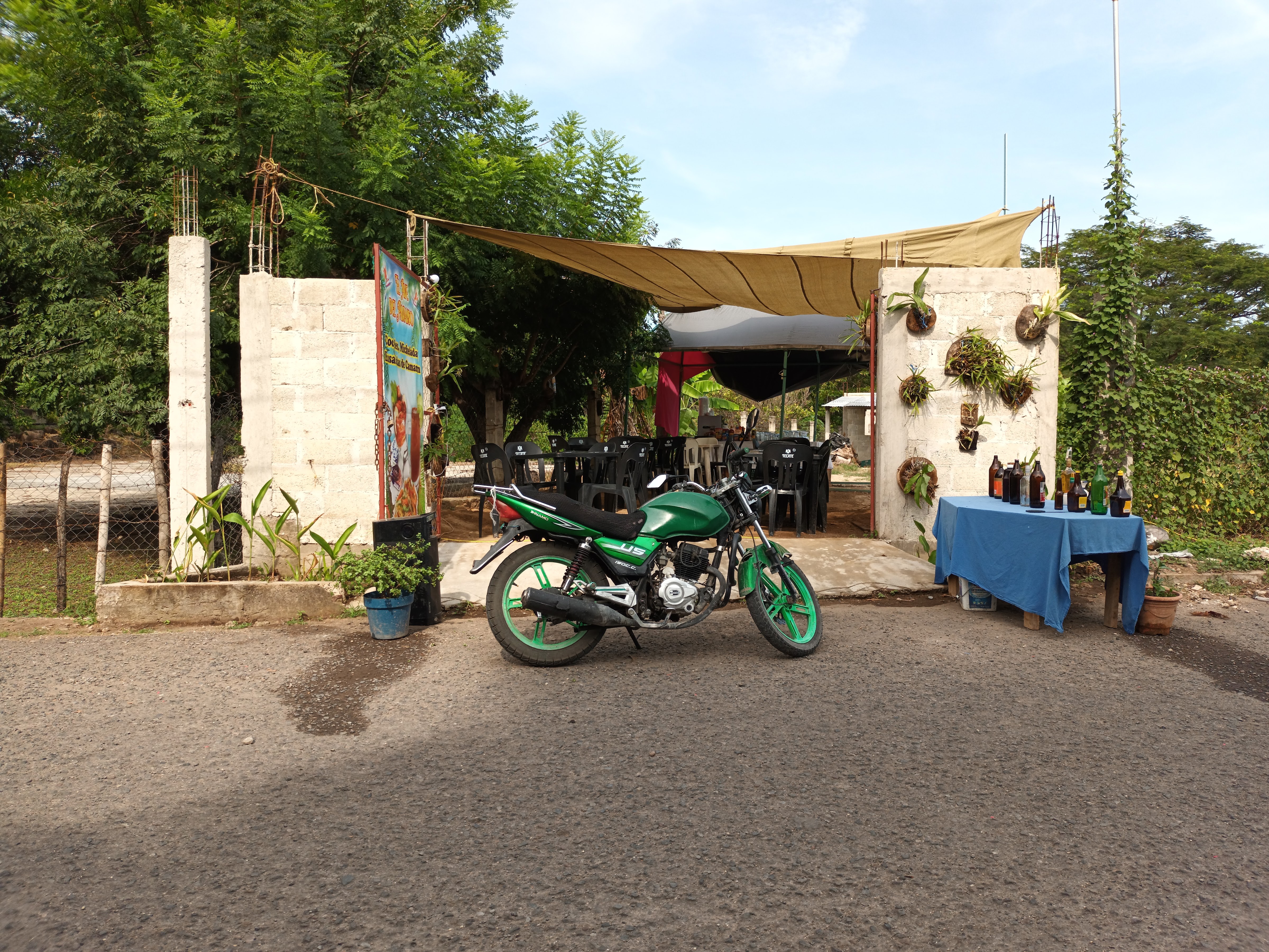 El Ave Del Paraiso image 6