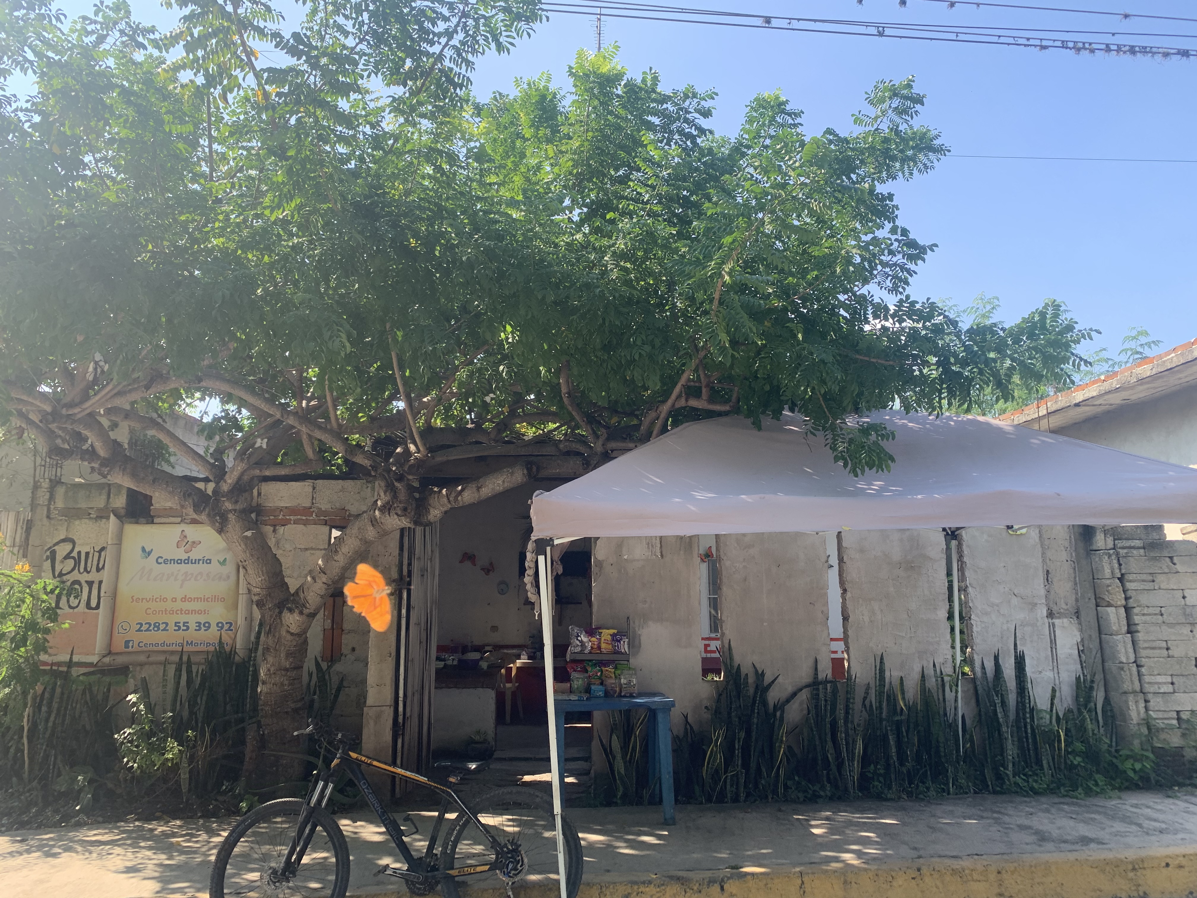 Cenaduria Mariposas image 1