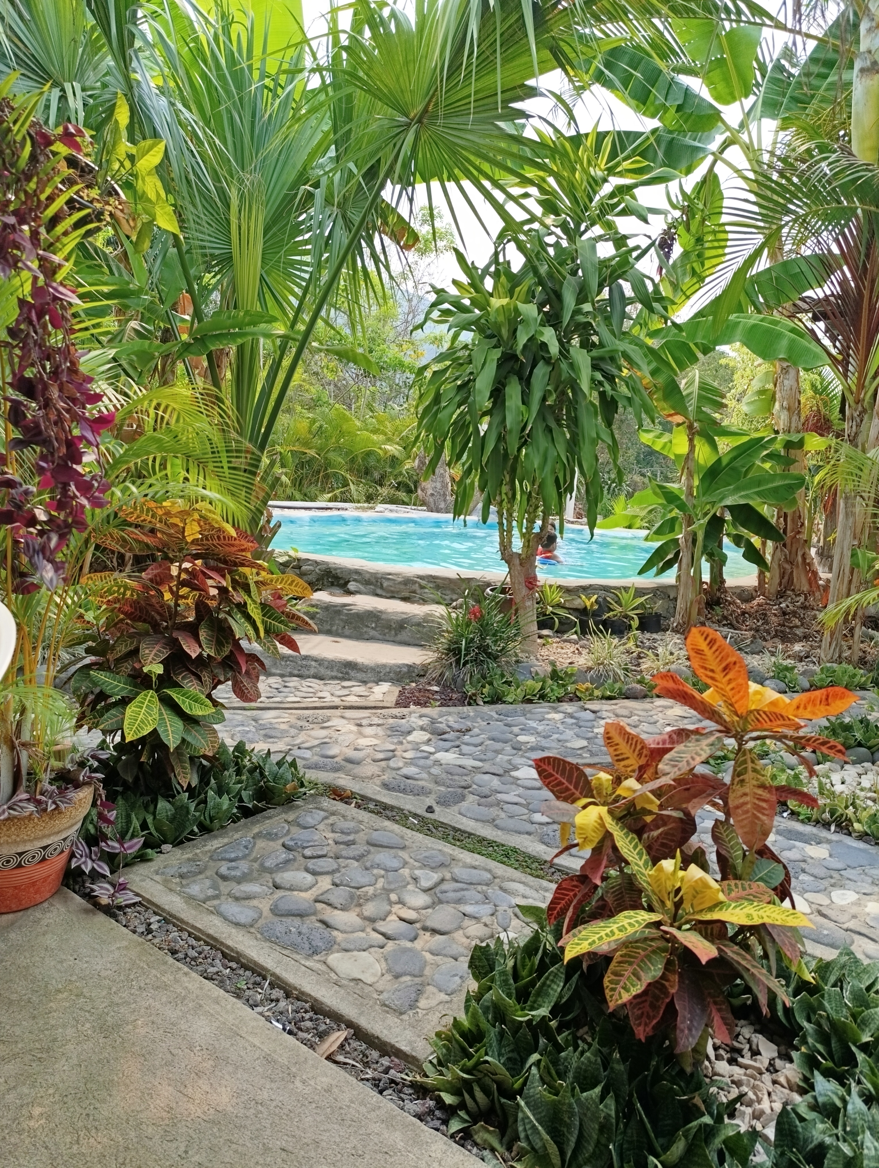 El Lebrillo De Mama image 4