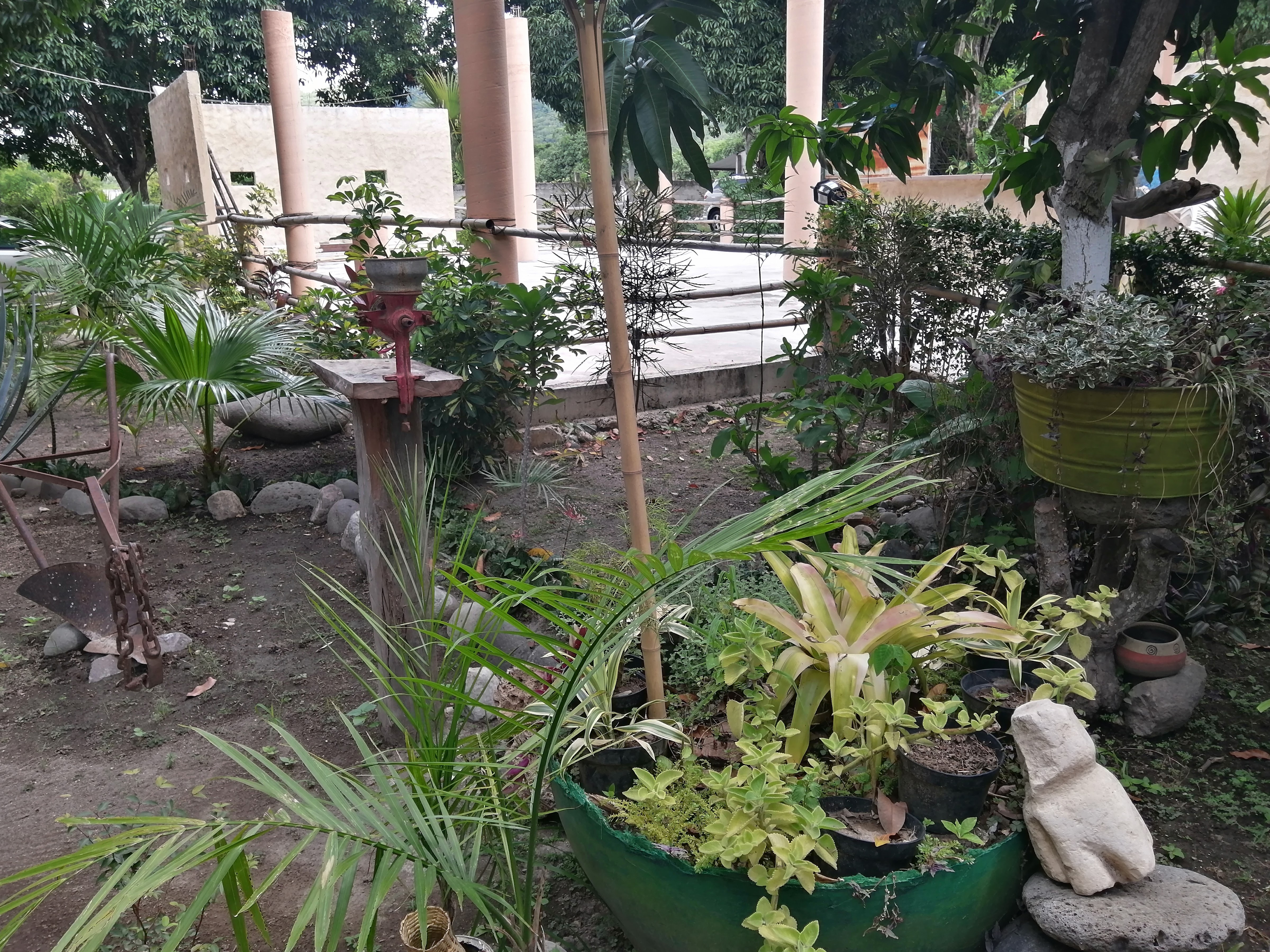 El Lebrillo De Mama image 7