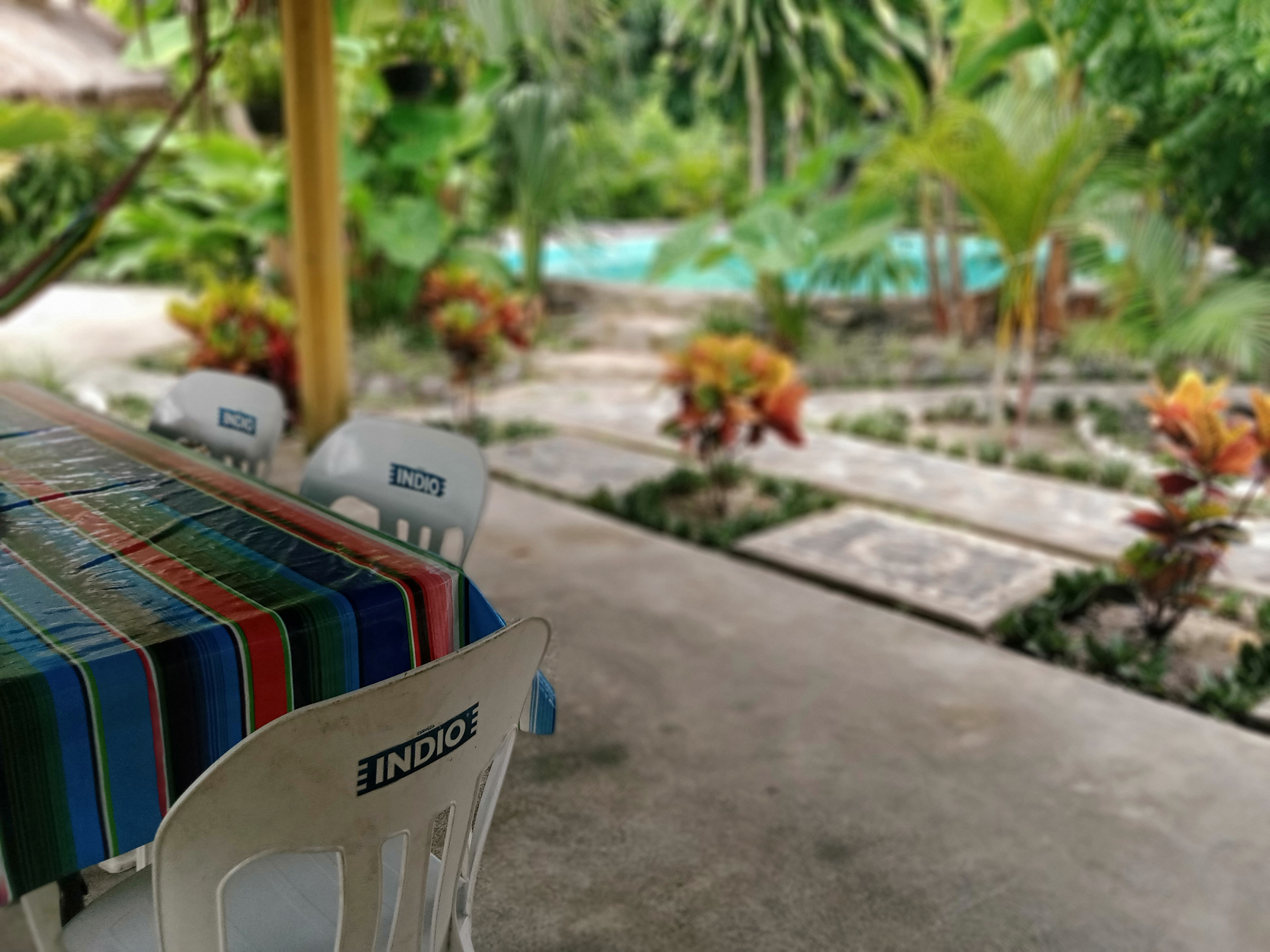 El Lebrillo De Mama image 8