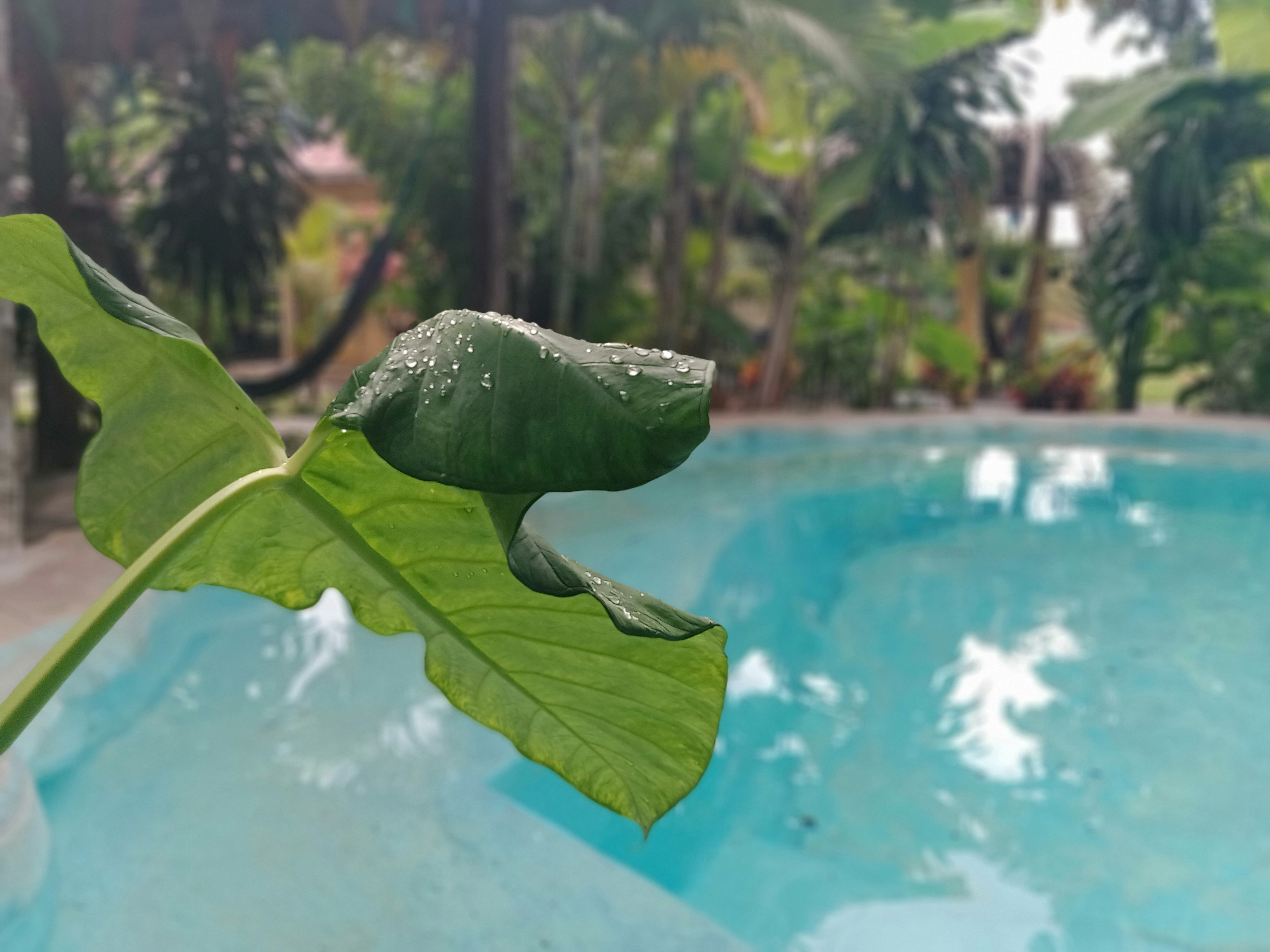 El Lebrillo De Mama image 9